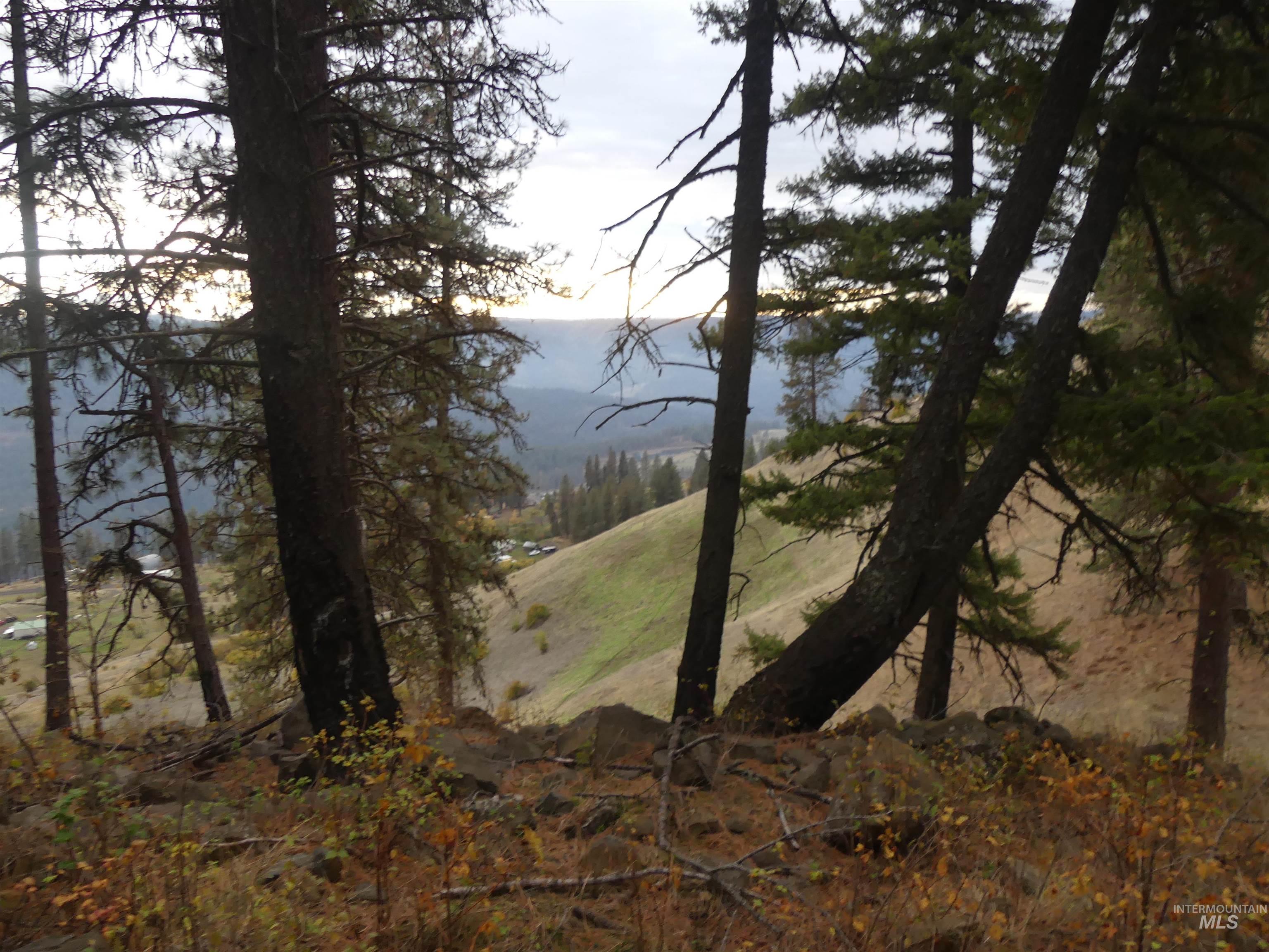 472 Mountain Top Drive (#5), Orofino, Idaho 83544, Land For Sale, Price $184,700, 98971103
