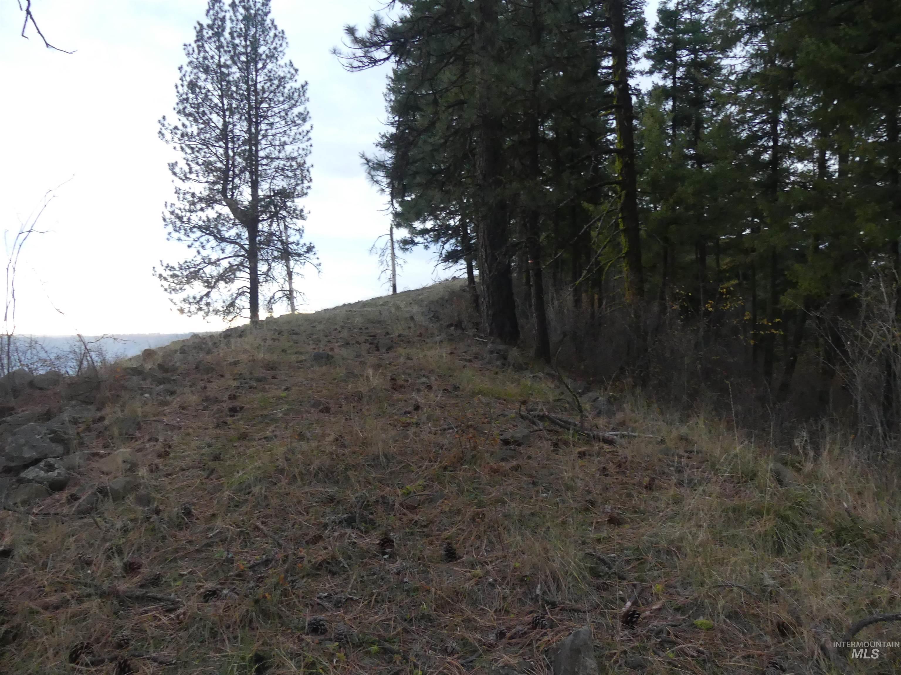 472 Mountain Top Drive (#5), Orofino, Idaho 83544, Land For Sale, Price $184,700, 98971103