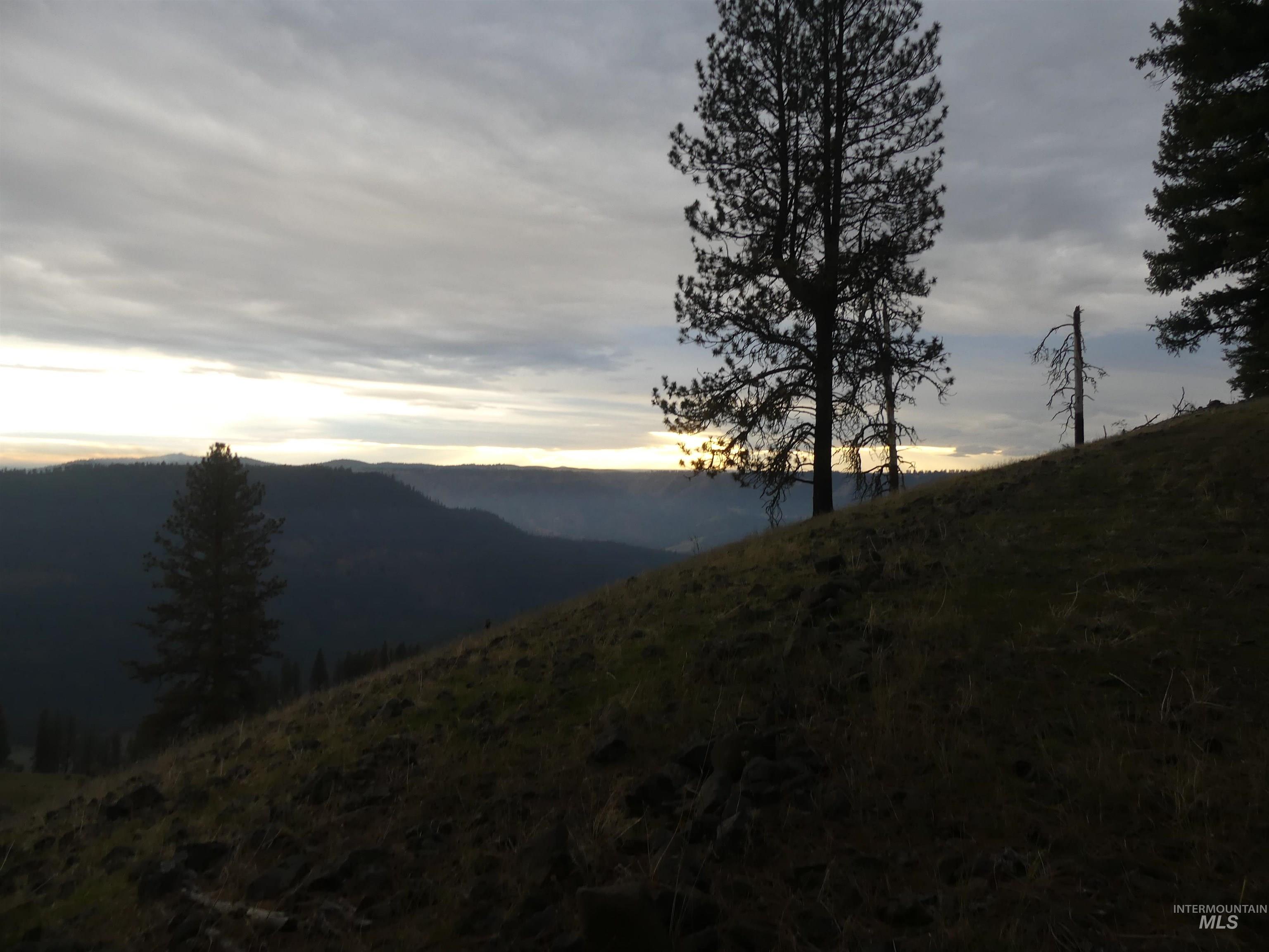 472 Mountain Top Drive (#5), Orofino, Idaho 83544, Land For Sale, Price $184,700, 98971103