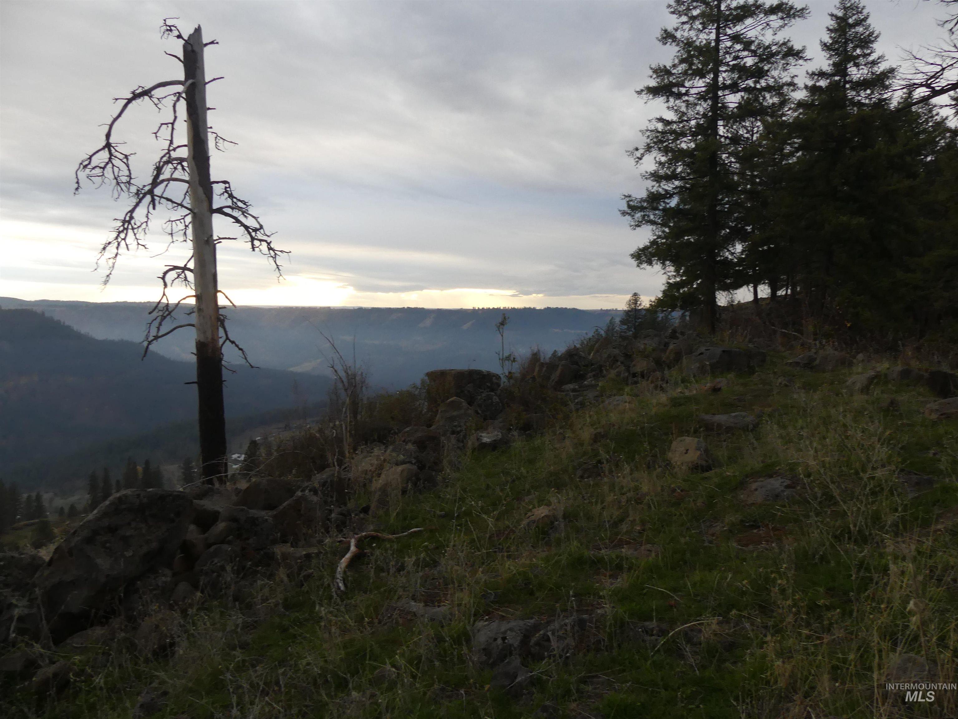 472 Mountain Top Drive (#5), Orofino, Idaho 83544, Land For Sale, Price $184,700, 98971103