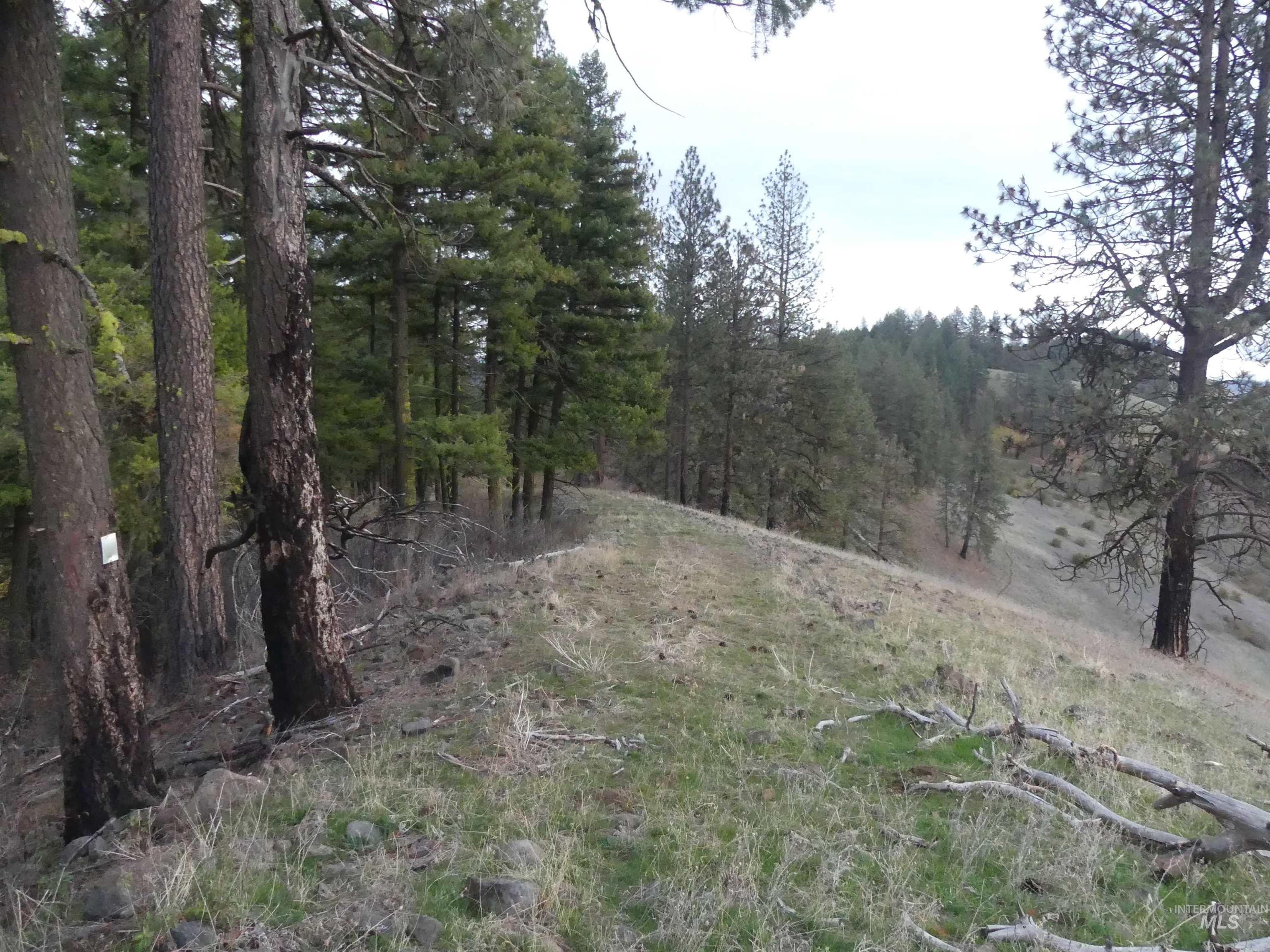 472 Mountain Top Drive (#5), Orofino, Idaho 83544, Land For Sale, Price $184,700, 98971103