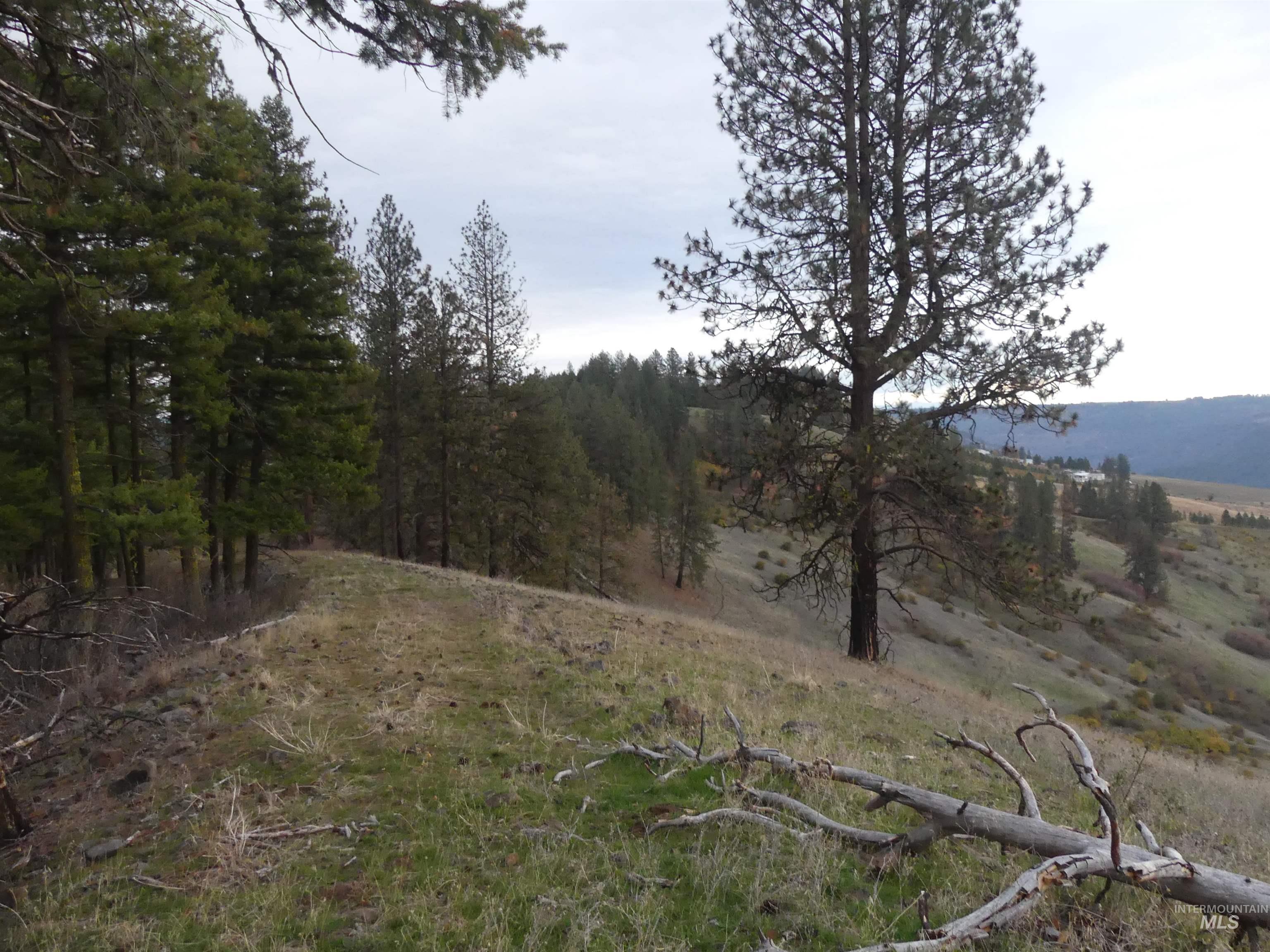 472 Mountain Top Drive (#5), Orofino, Idaho 83544, Land For Sale, Price $184,700, 98971103