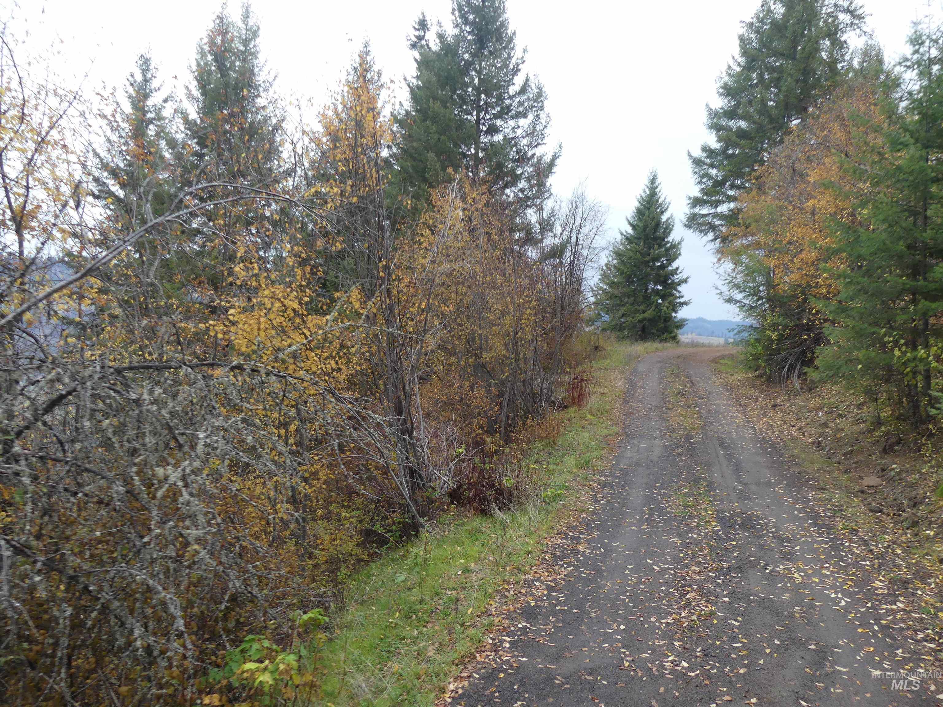 472 Mountain Top Drive (#5), Orofino, Idaho 83544, Land For Sale, Price $184,700, 98971103