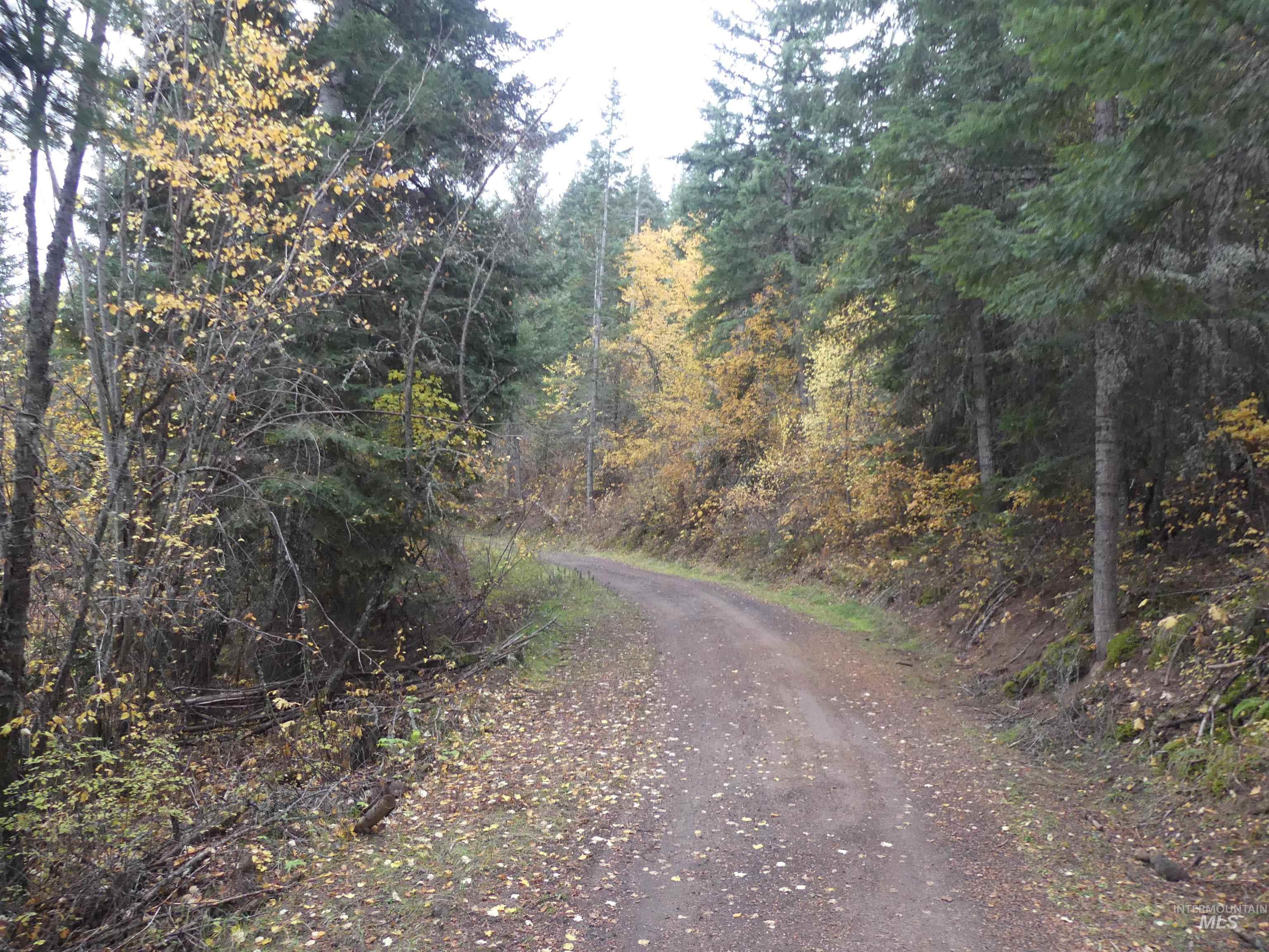 472 Mountain Top Drive (#5), Orofino, Idaho 83544, Land For Sale, Price $184,700, 98971103