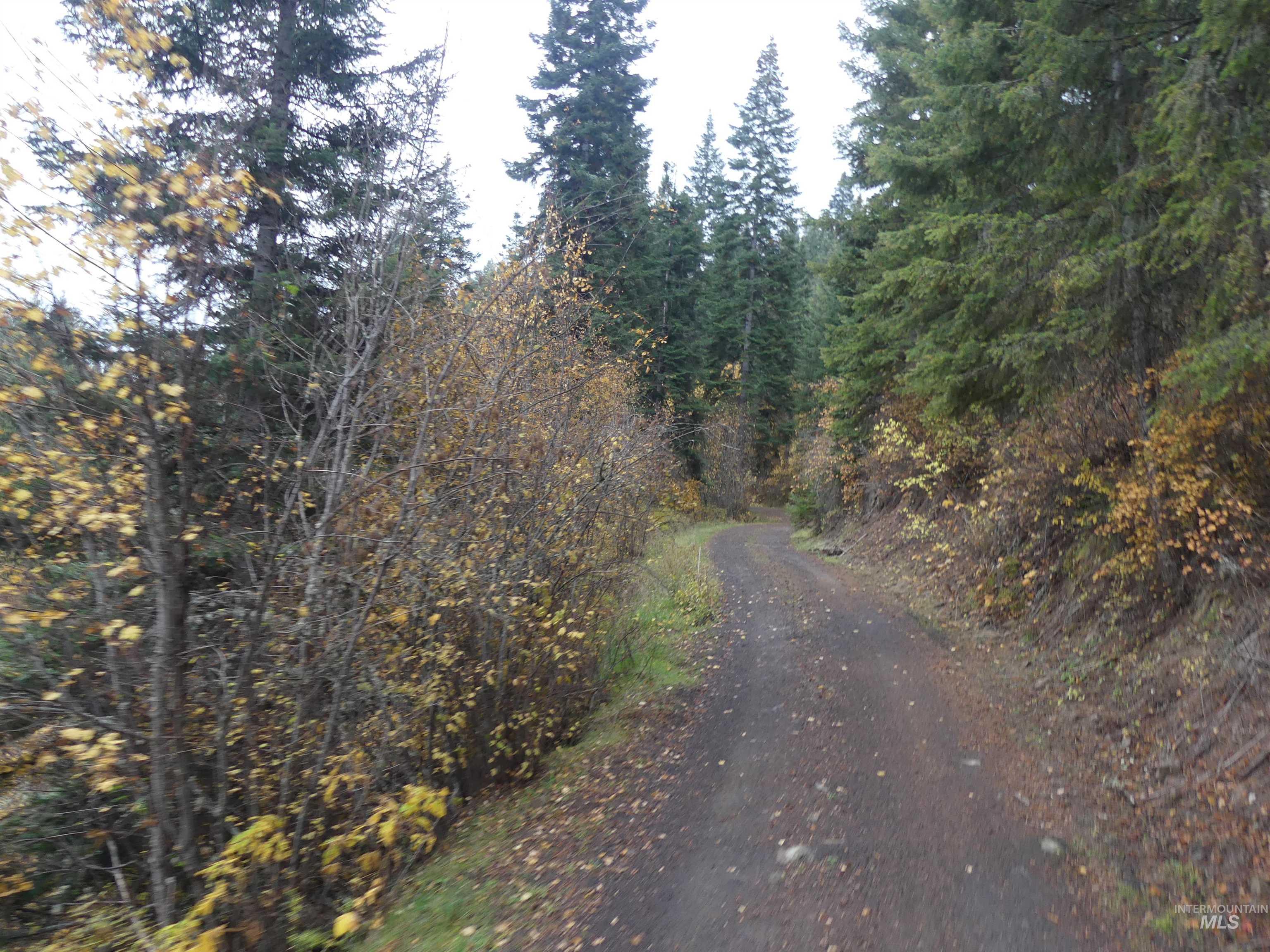 472 Mountain Top Drive (#5), Orofino, Idaho 83544, Land For Sale, Price $184,700, 98971103