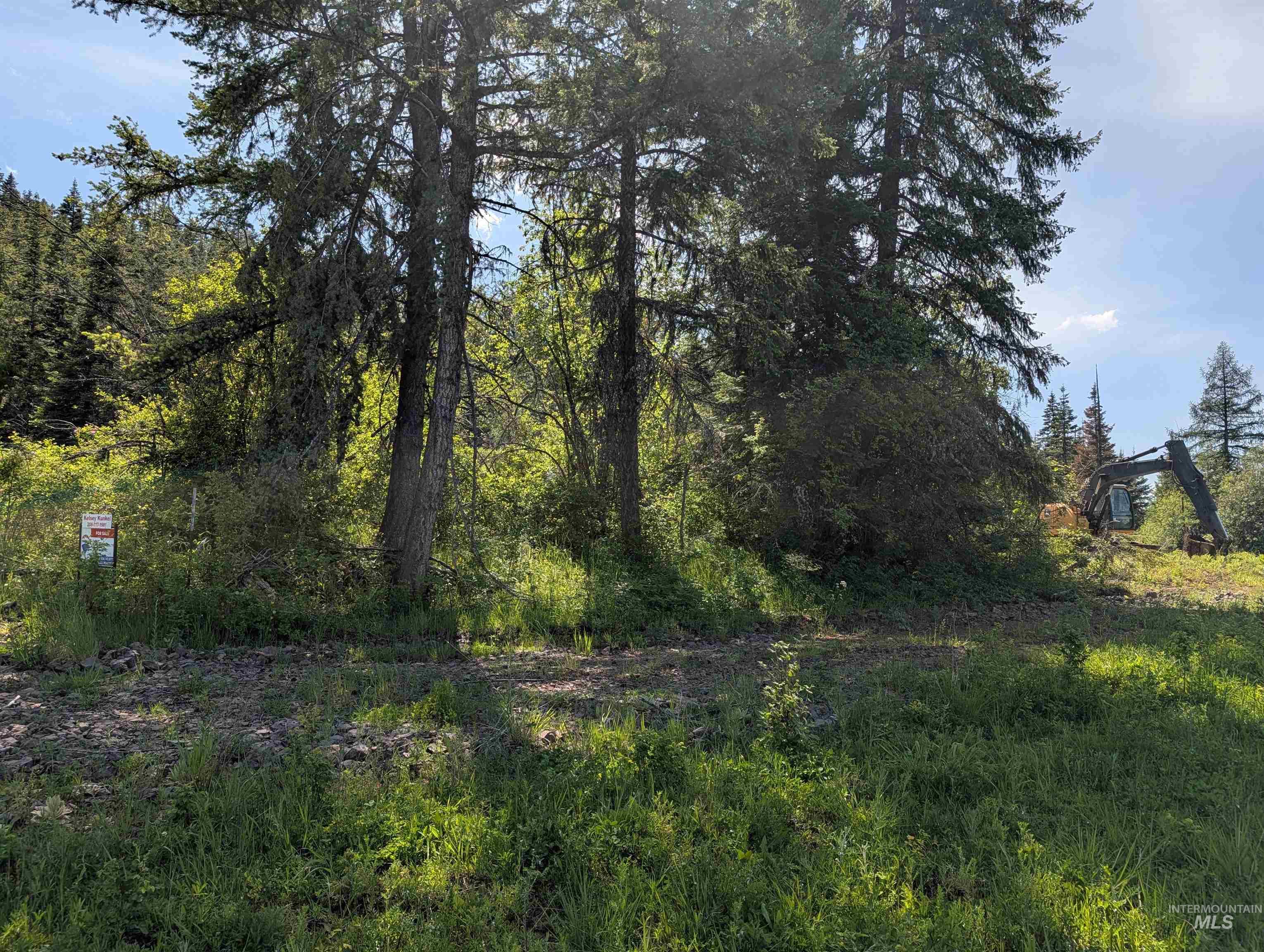 472 Mountain Top Drive (#5), Orofino, Idaho 83544, Land For Sale, Price $184,700, 98971103