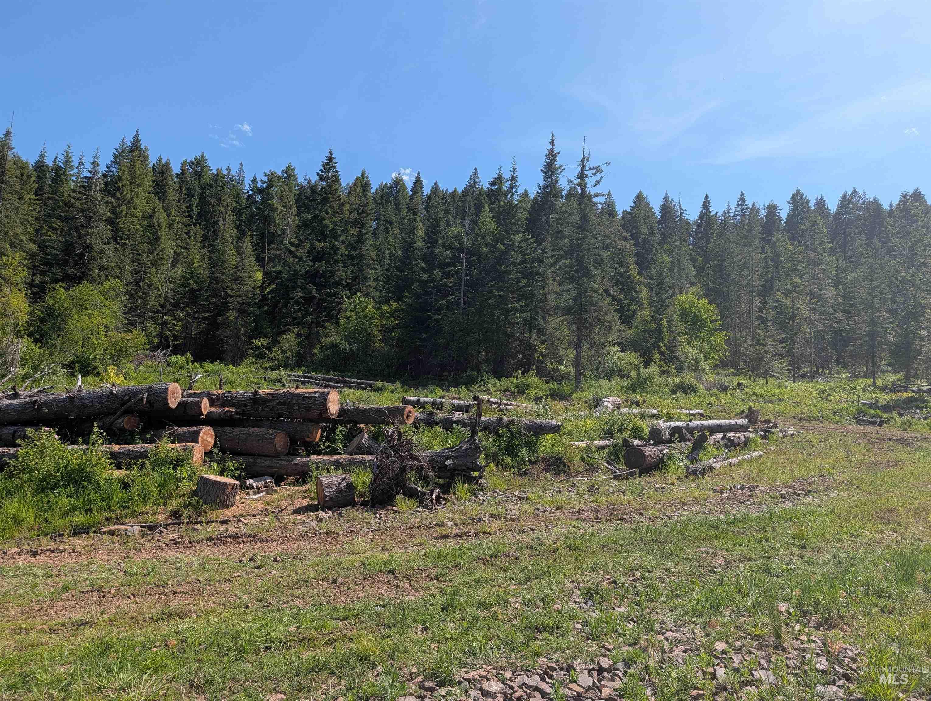 472 Mountain Top Drive (#5), Orofino, Idaho 83544, Land For Sale, Price $184,700, 98971103