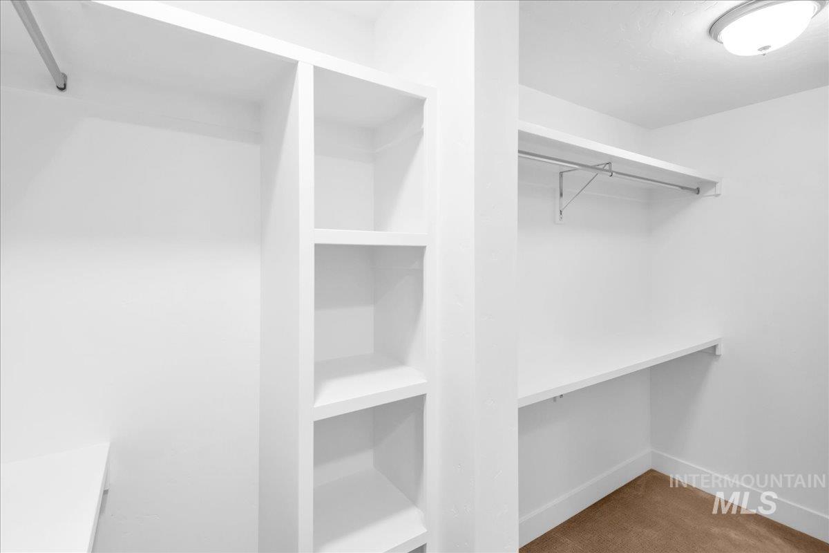 Walk in closet featuring carpet floors