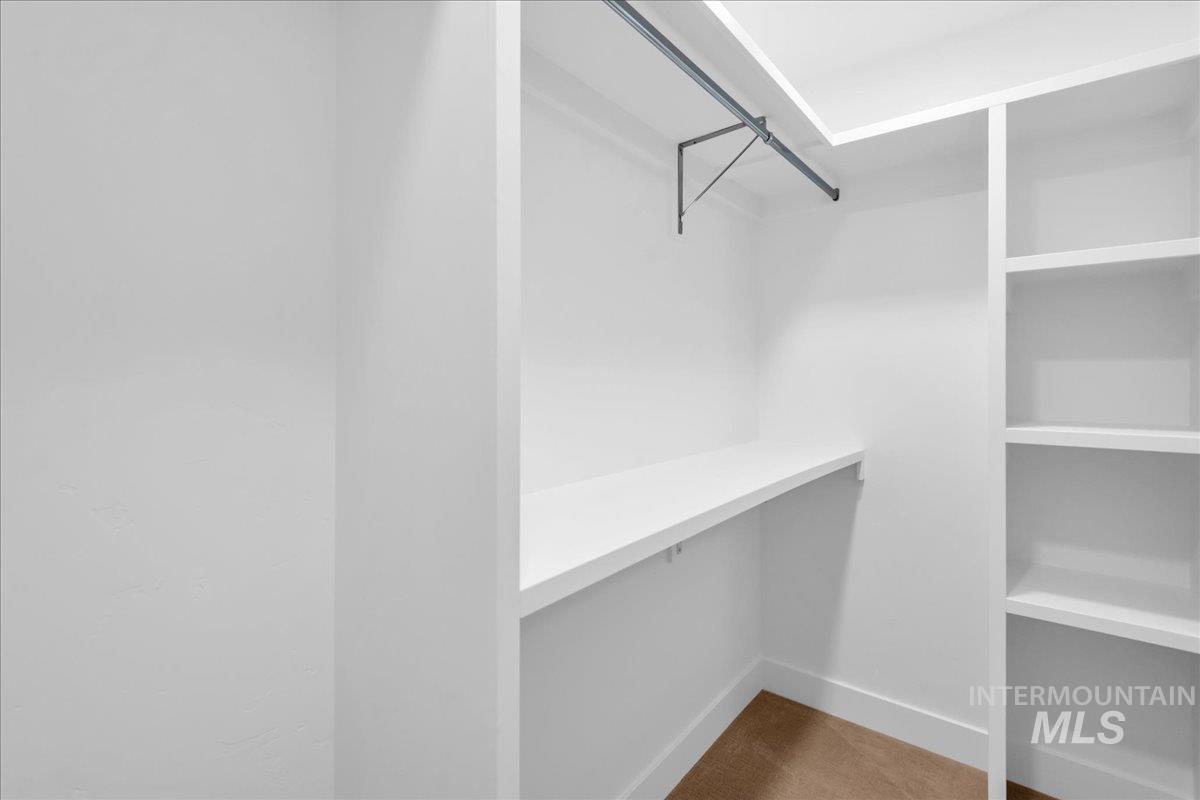 Spacious closet featuring carpet flooring