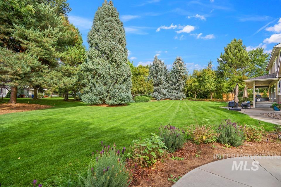 View of grassy yard featuring a porch