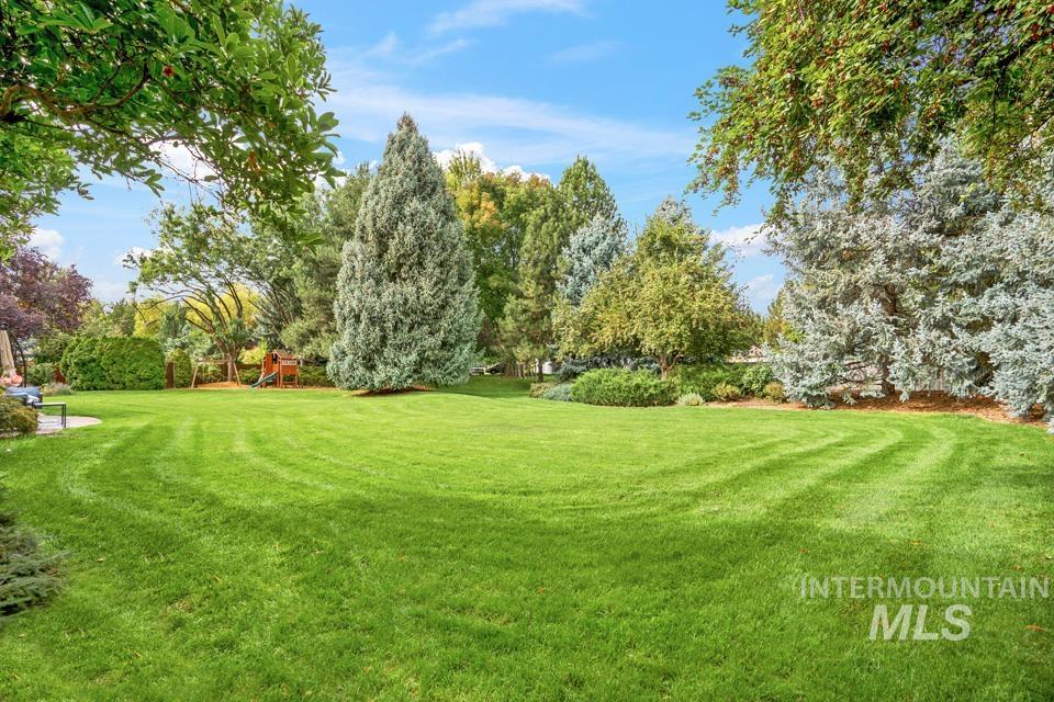 View of grassy yard with a playground and view of scattered trees