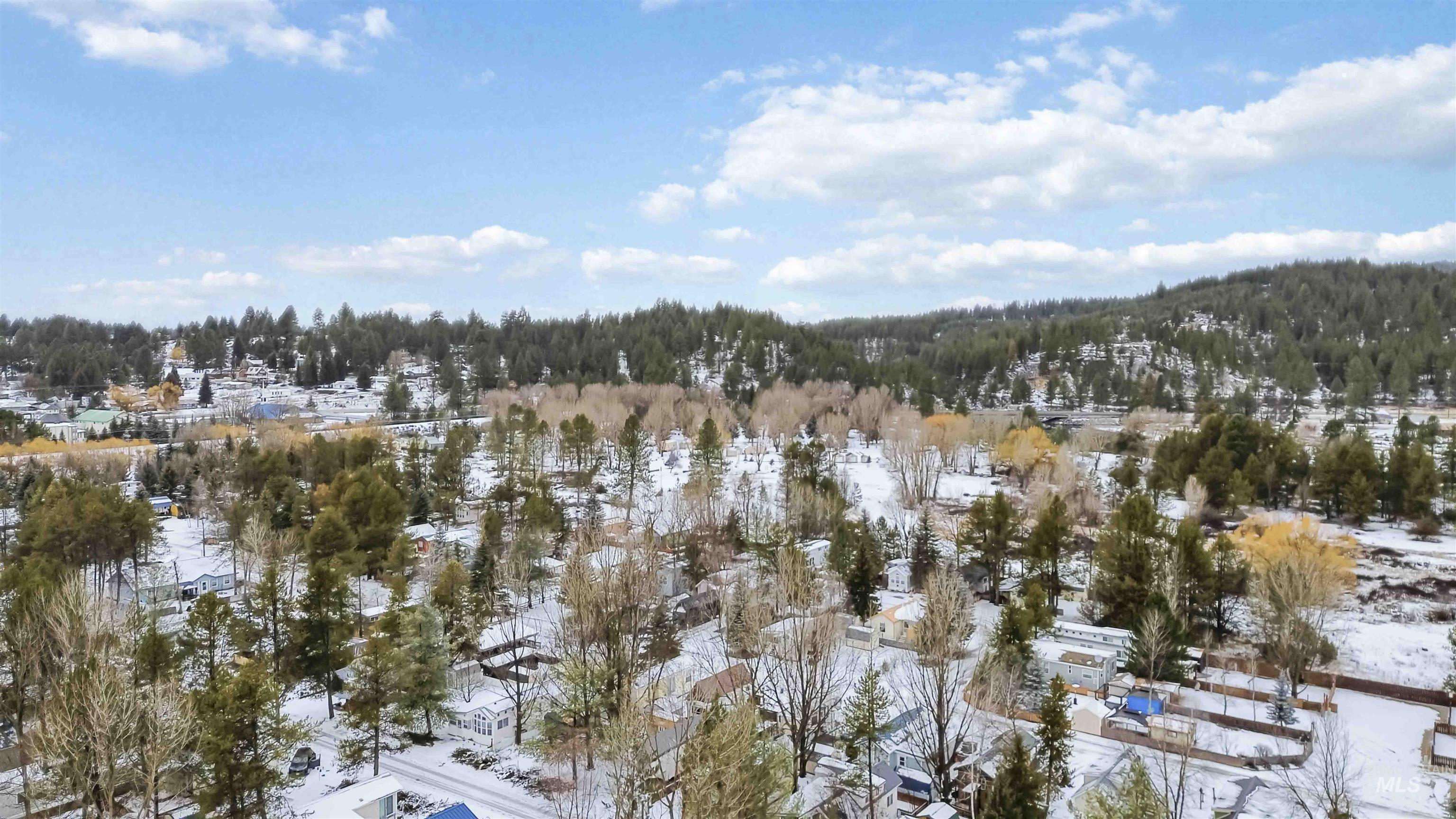 Snowy aerial view with a view of trees