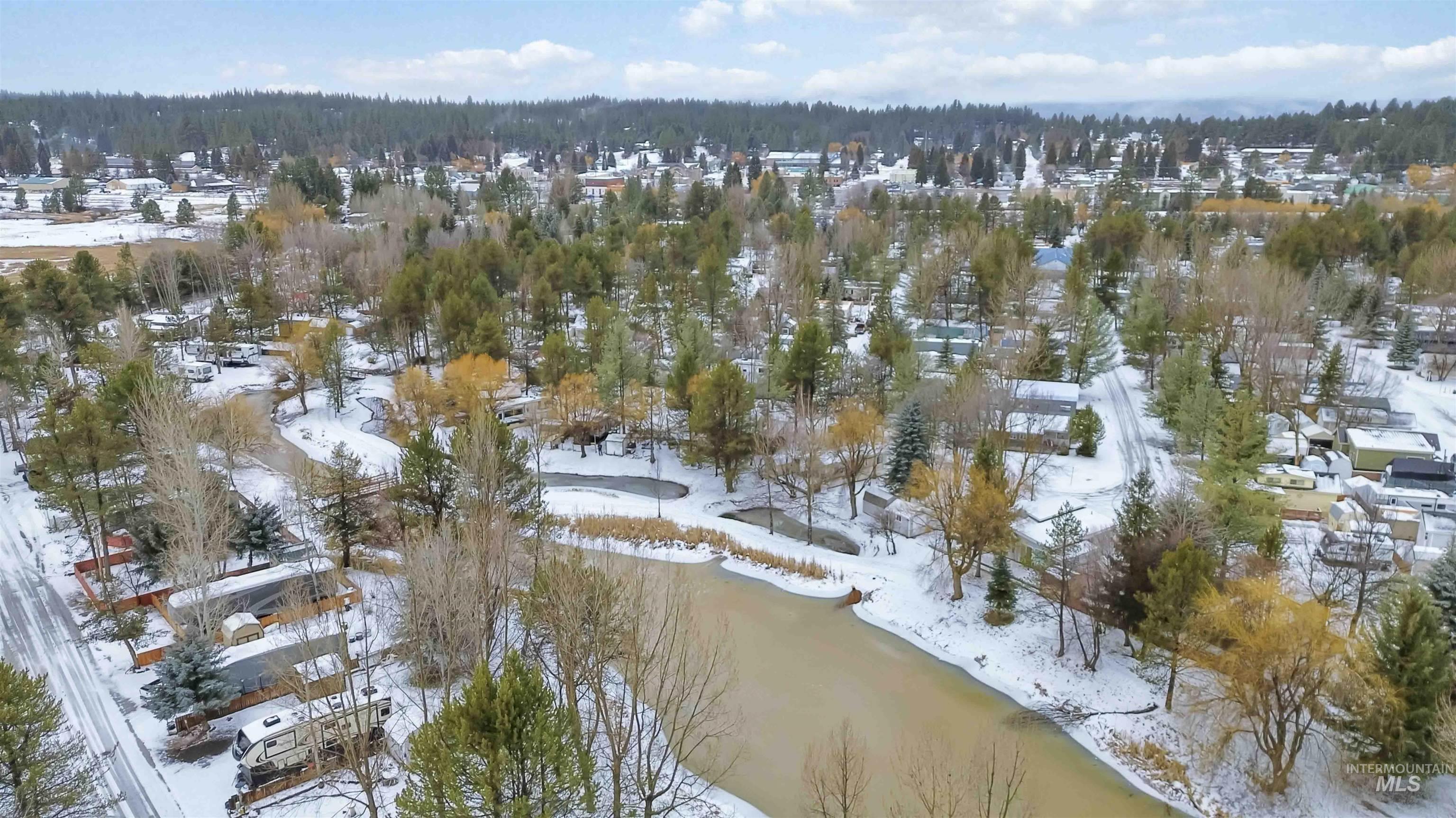 Snowy aerial view featuring a wooded view