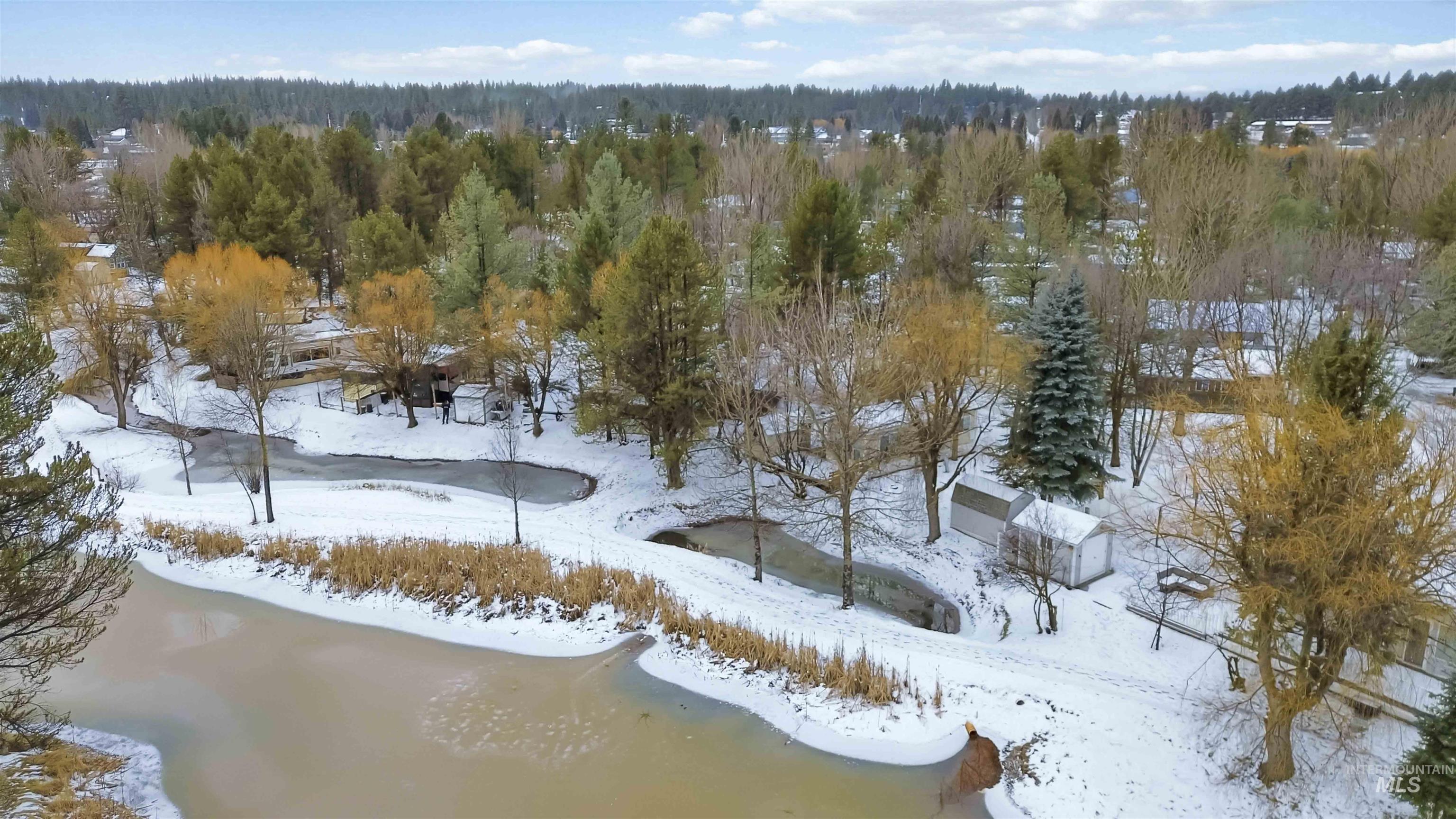 Snowy aerial view with a forest view