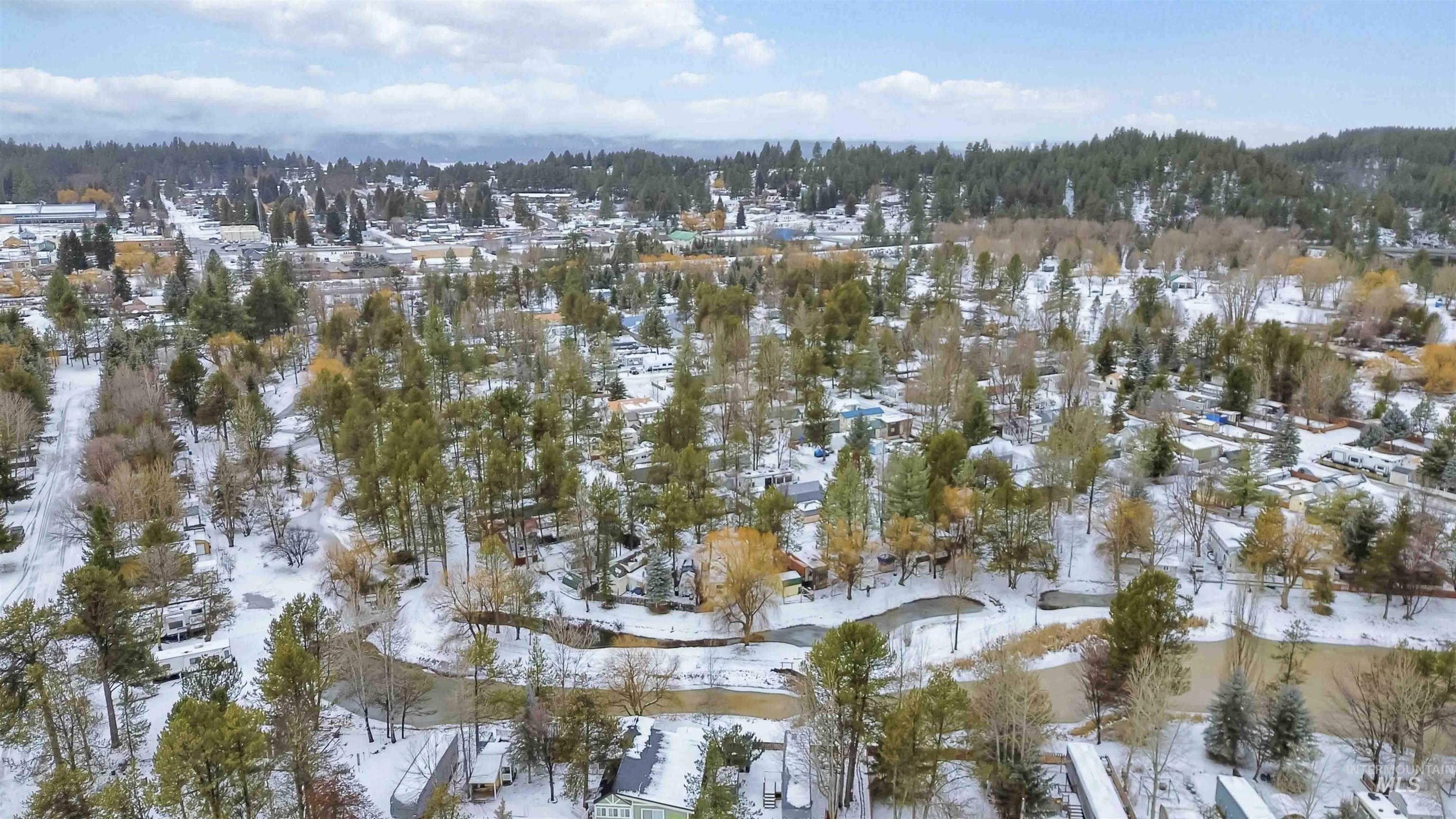 Snowy aerial view with a wooded view