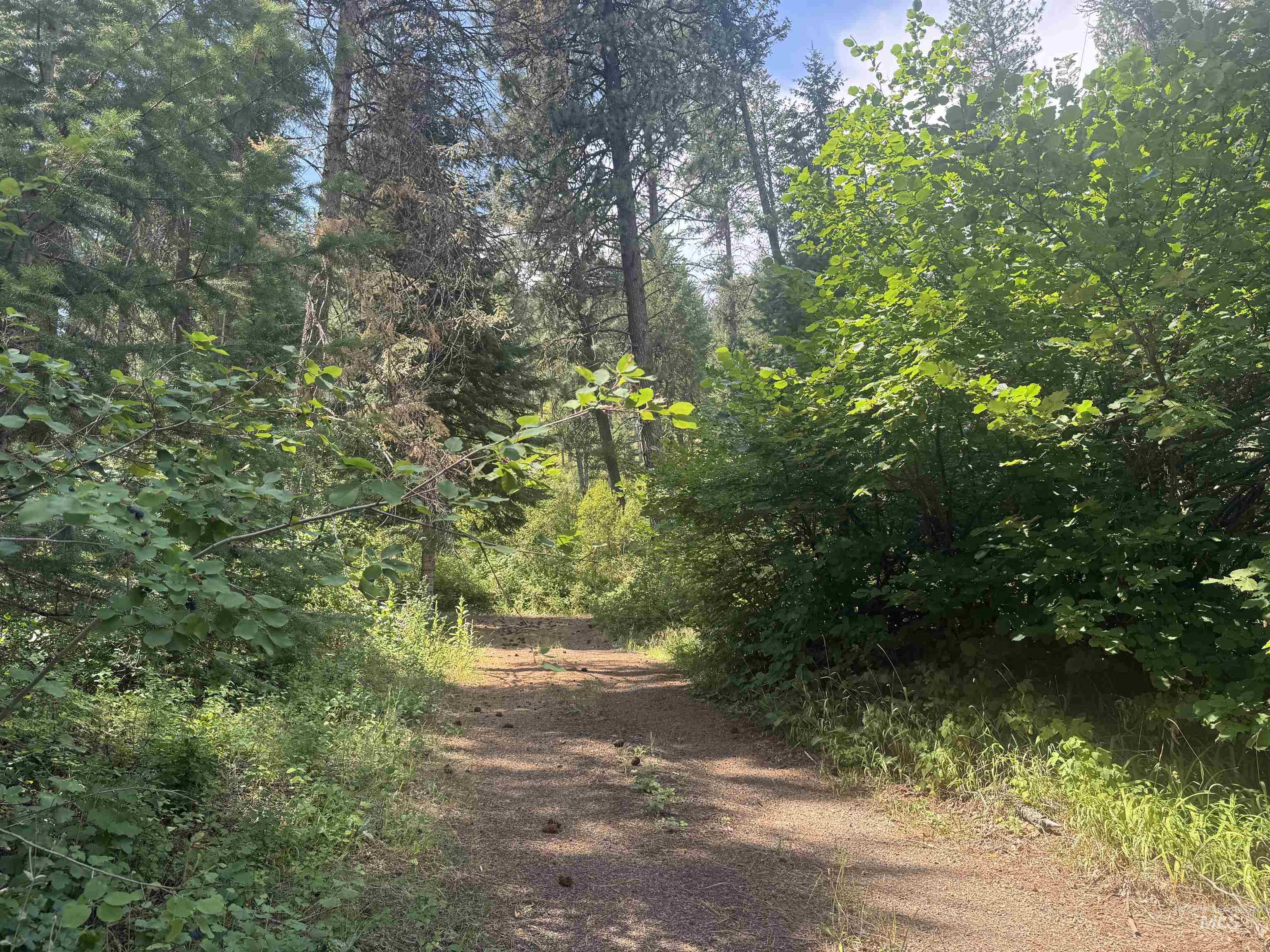 TBD Parcel #18N01E194000, Council, Idaho 83612, Land For Sale, Price $425,000, 98971150