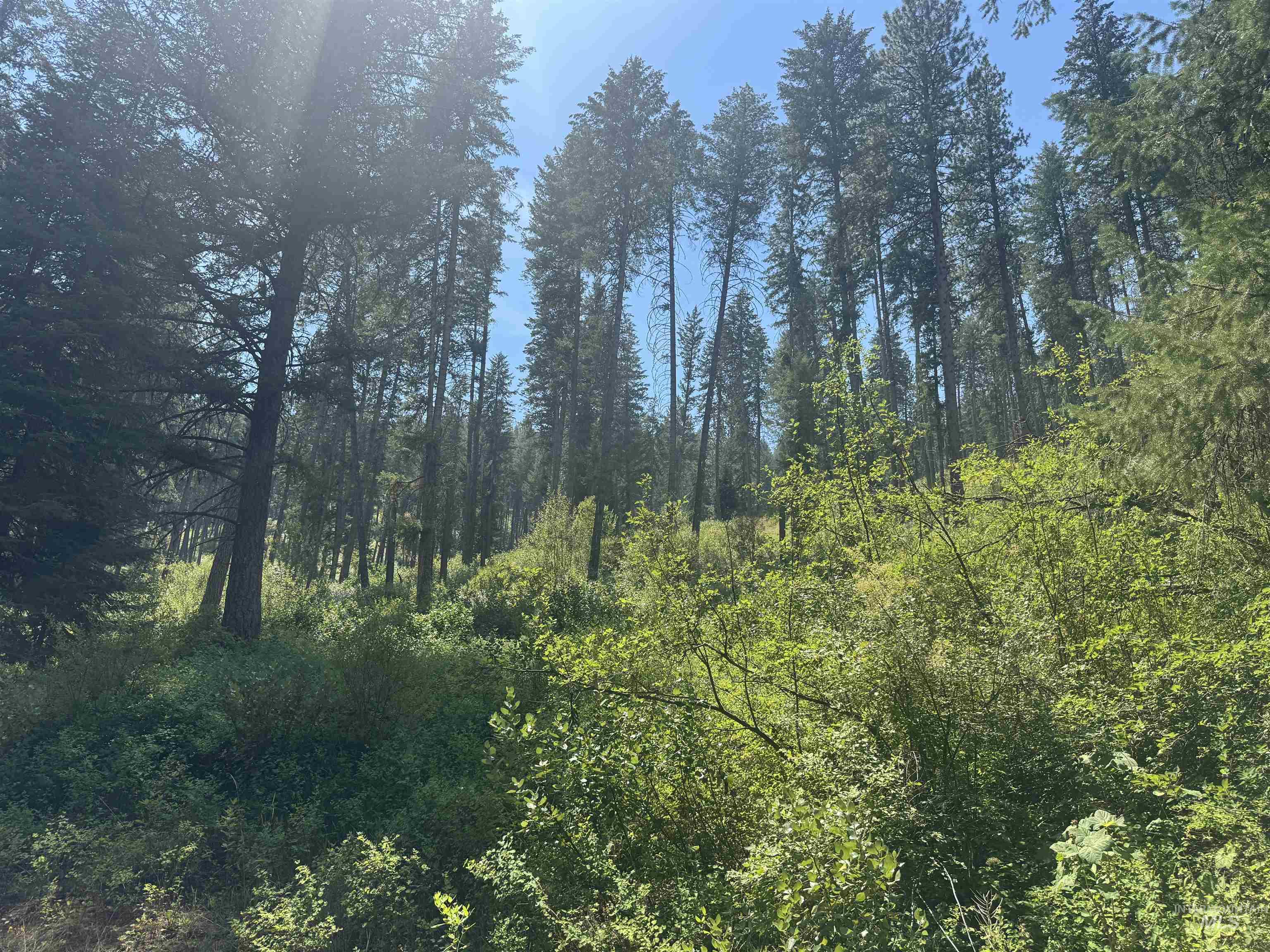 TBD Parcel #18N01E194000, Council, Idaho 83612, Land For Sale, Price $425,000, 98971150