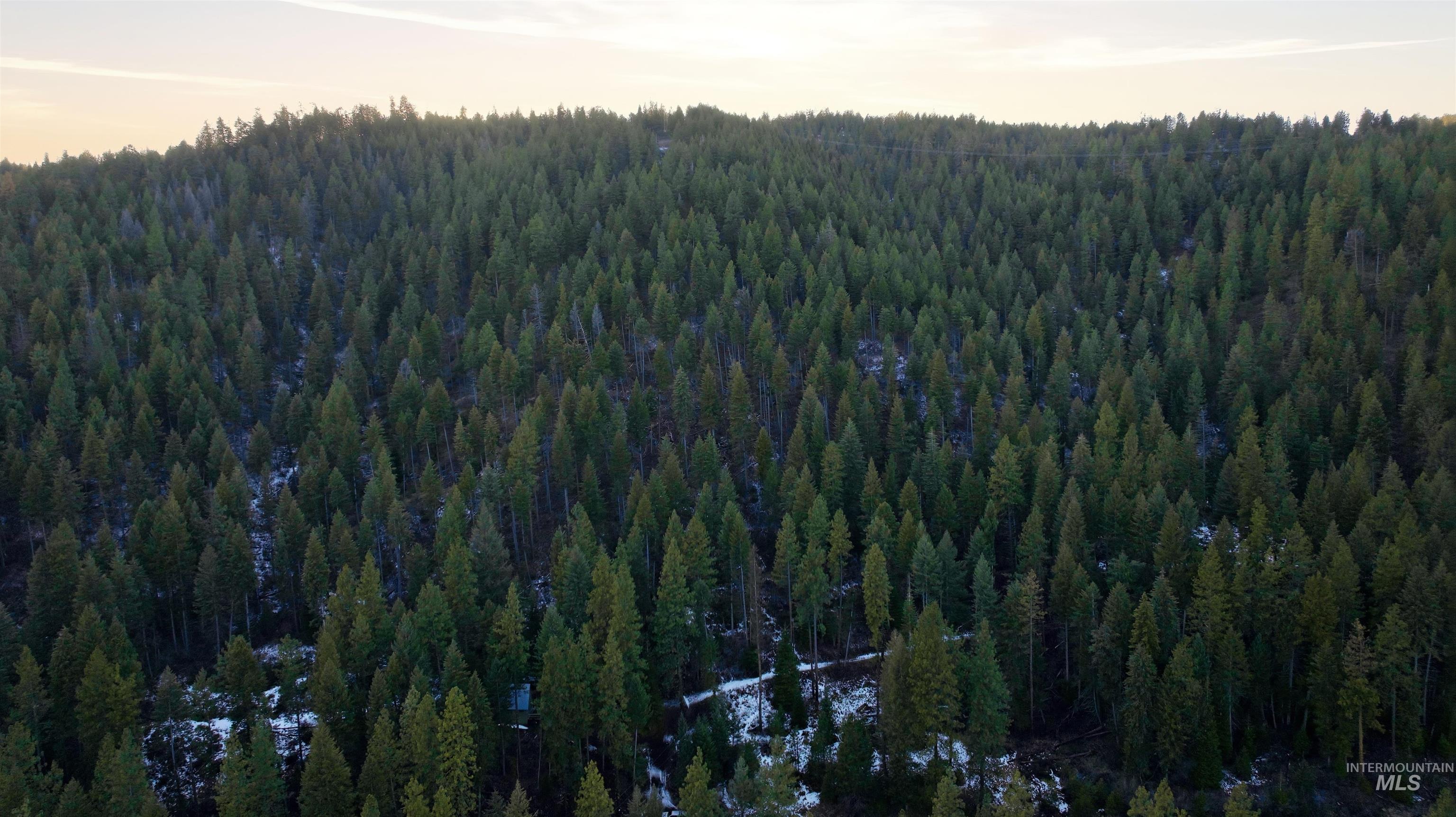 TBD TBD, Council, Idaho 83612, Land For Sale, Price $460,000,MLS 98971150