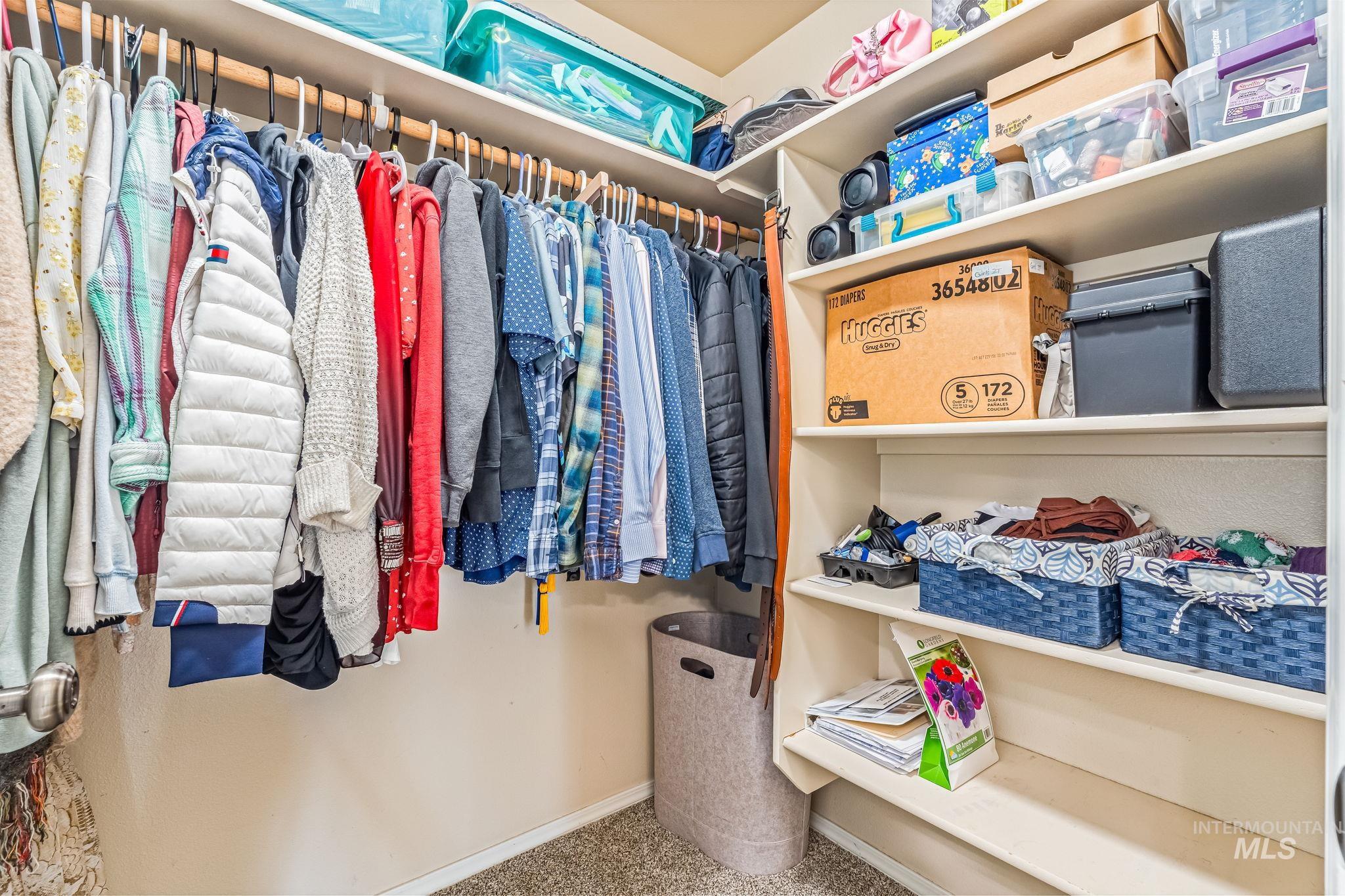 Walk in closet with carpet flooring