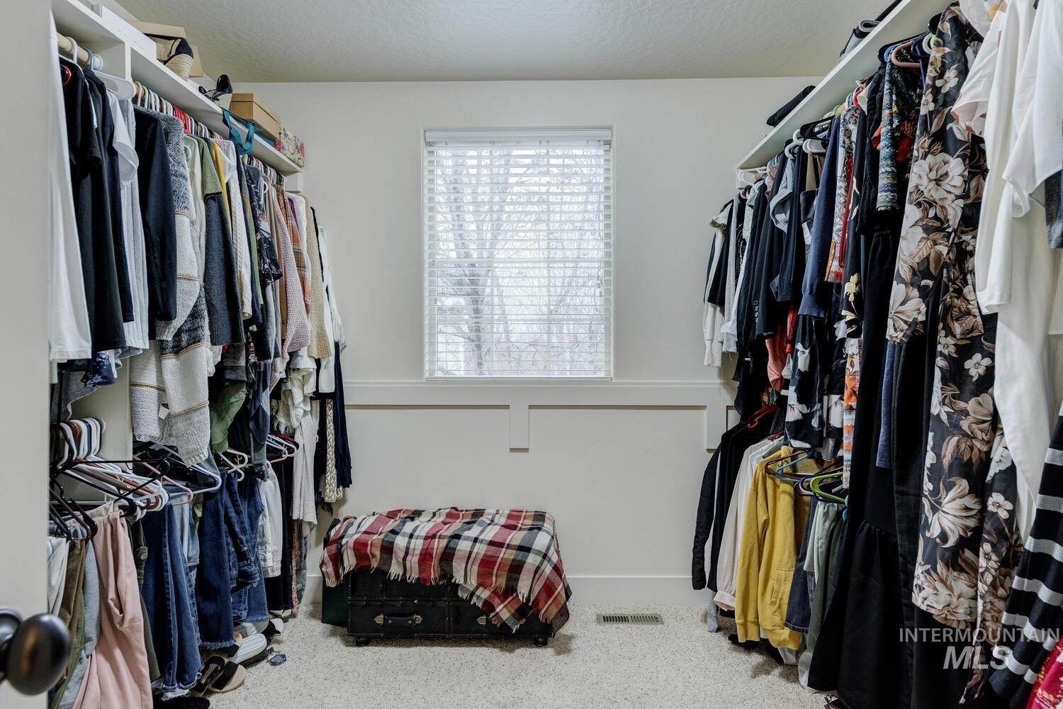 Spacious closet featuring carpet flooring