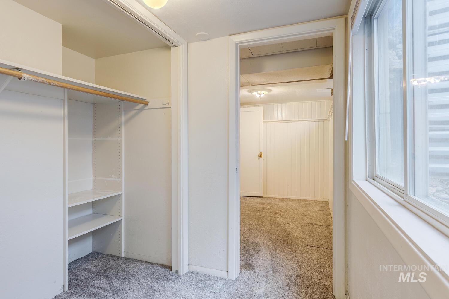 Spacious closet featuring light carpet
