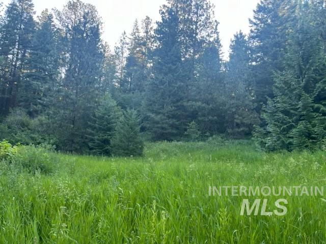 TBD Bobcat lane, Lewiston, Idaho 83501, Land For Sale, Price $89,900, 98971171