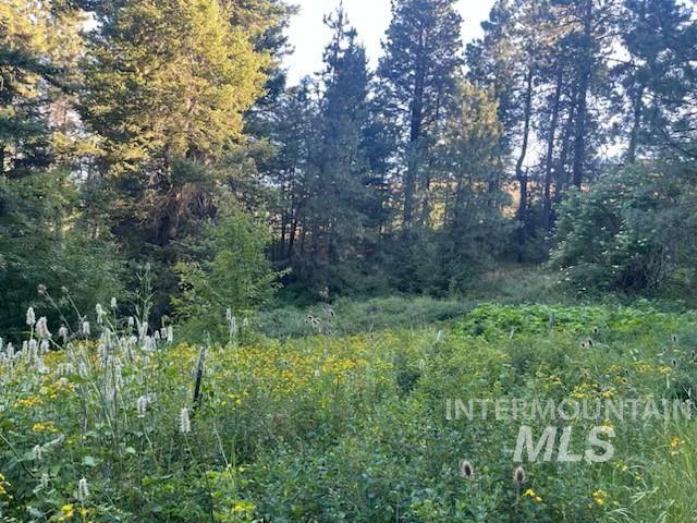 TBD Bobcat lane, Lewiston, Idaho 83501, Land For Sale, Price $89,900, 98971171