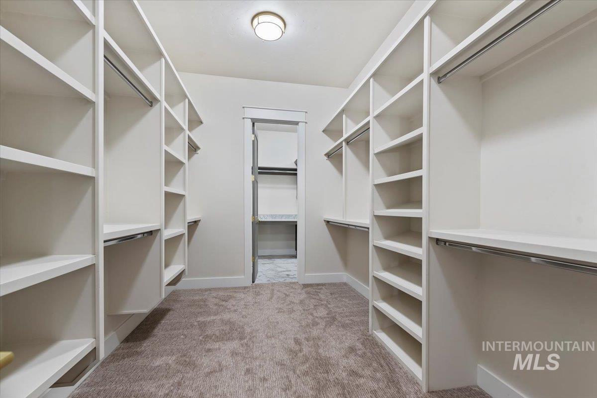 Walk in closet featuring light colored carpet