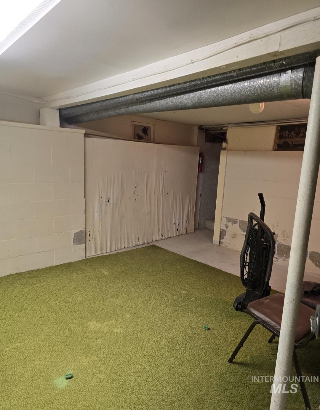 Finished basement with concrete block wall and carpet