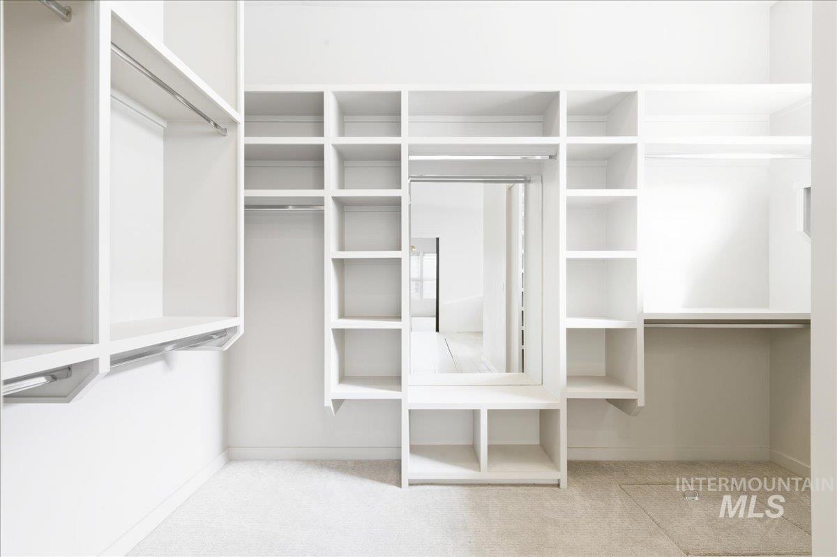 Spacious closet featuring light carpet