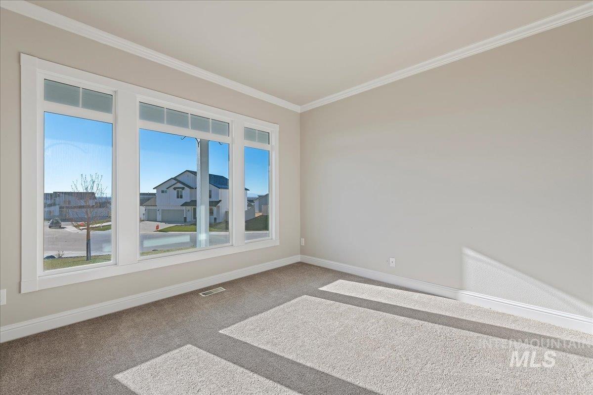 Spare room featuring ornamental molding and carpet