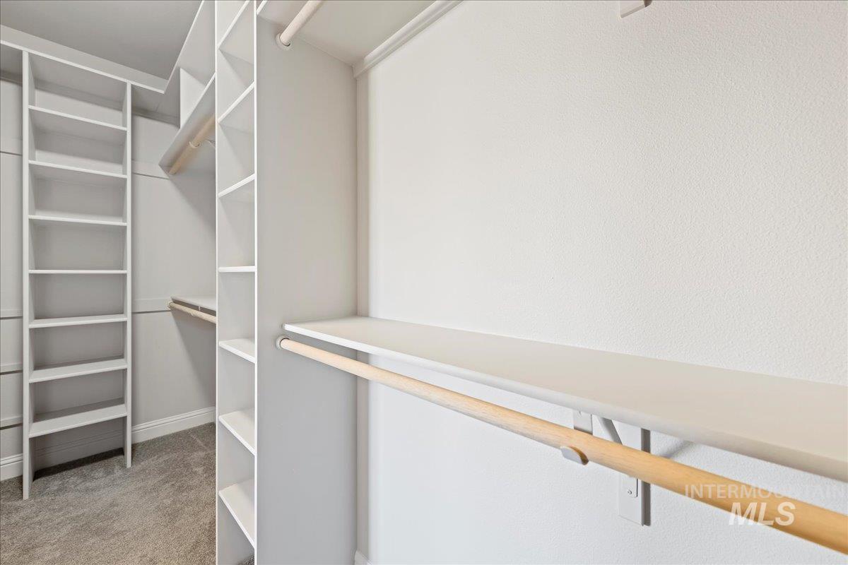 Walk in closet with carpet floors