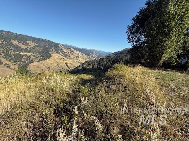 144 Chukar Run, Pollock, Idaho 83547, Land For Sale, Price $110,000,MLS 98971223