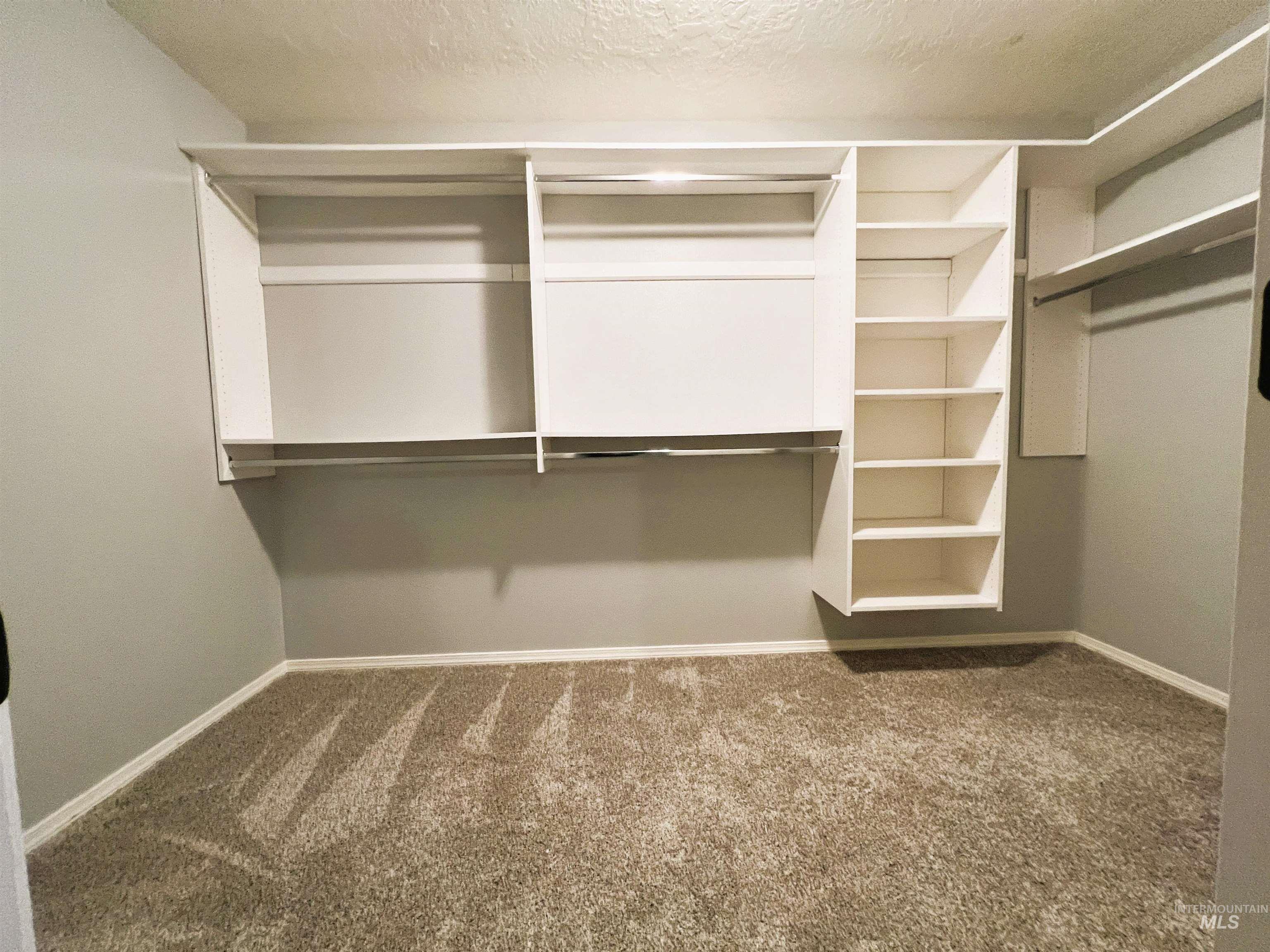 Spacious closet with carpet