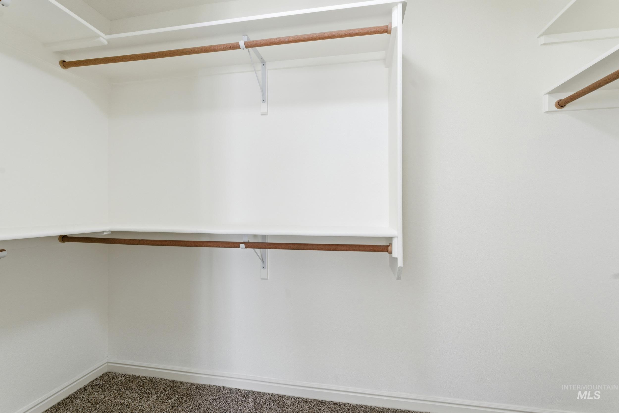 Walk in closet featuring carpet flooring