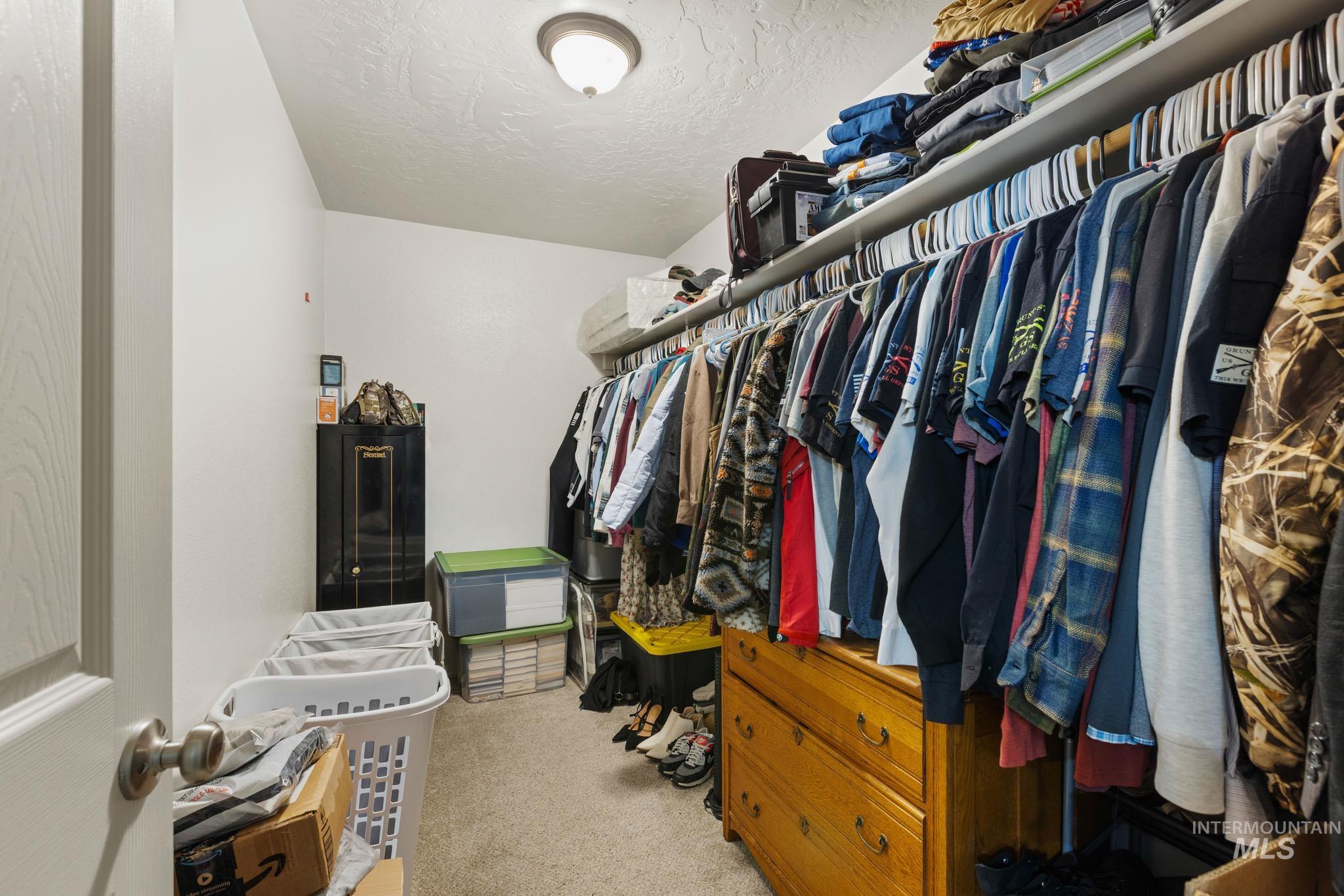 Walk in closet with light carpet