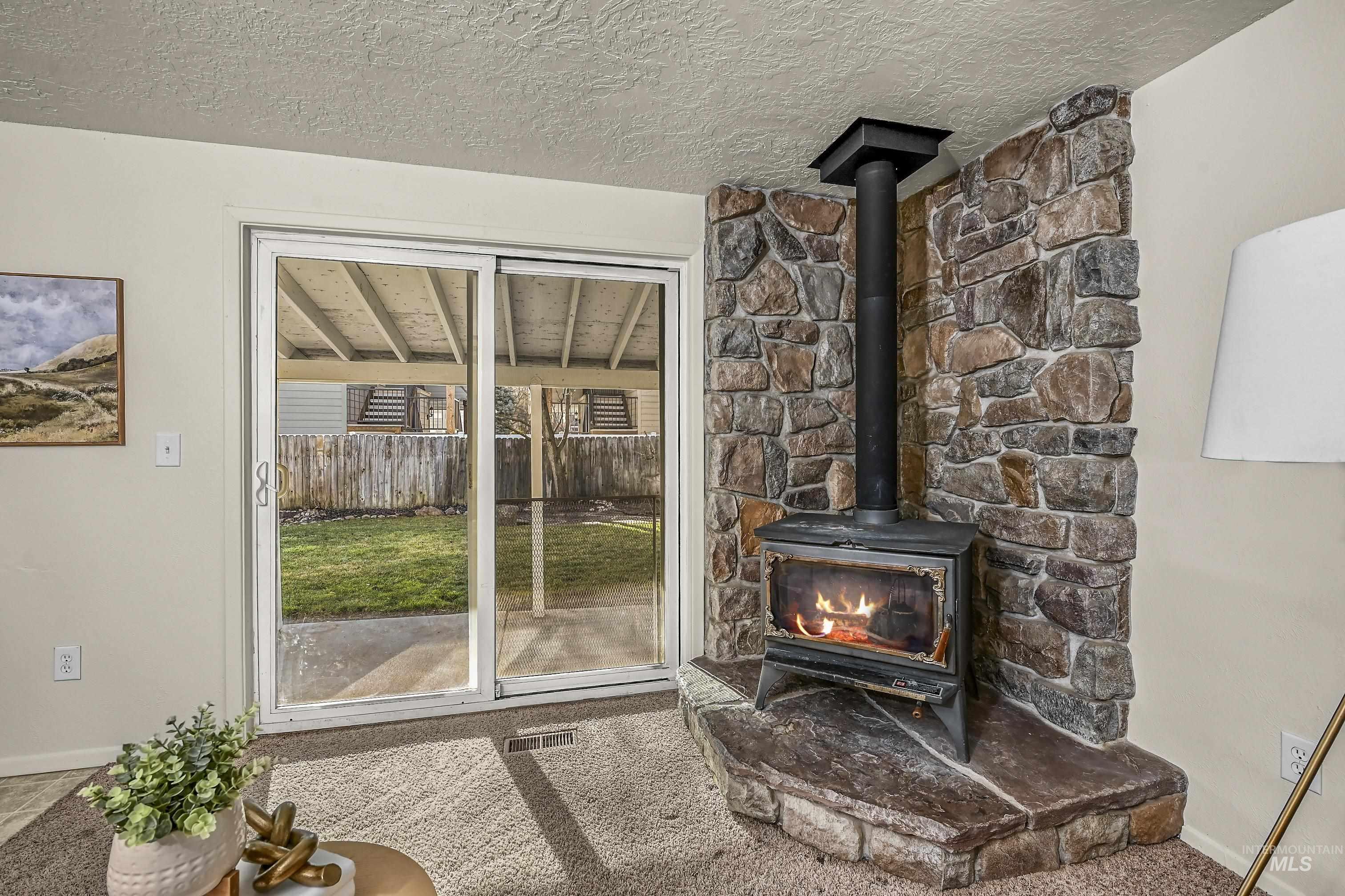 Detailed view of a wood stove, a textured ceiling, and carpet
