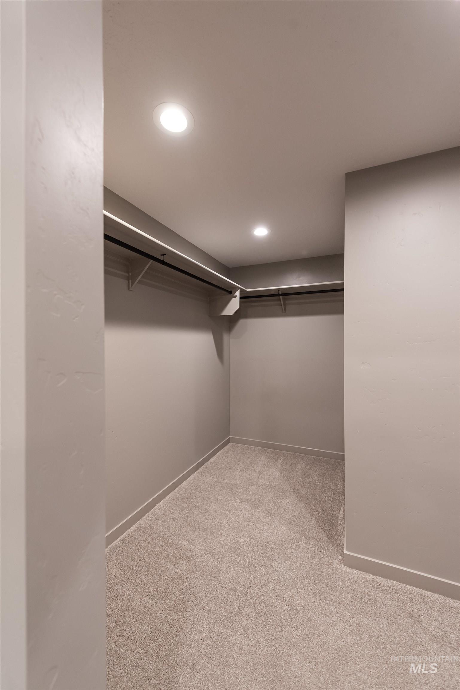 Walk in closet featuring light carpet