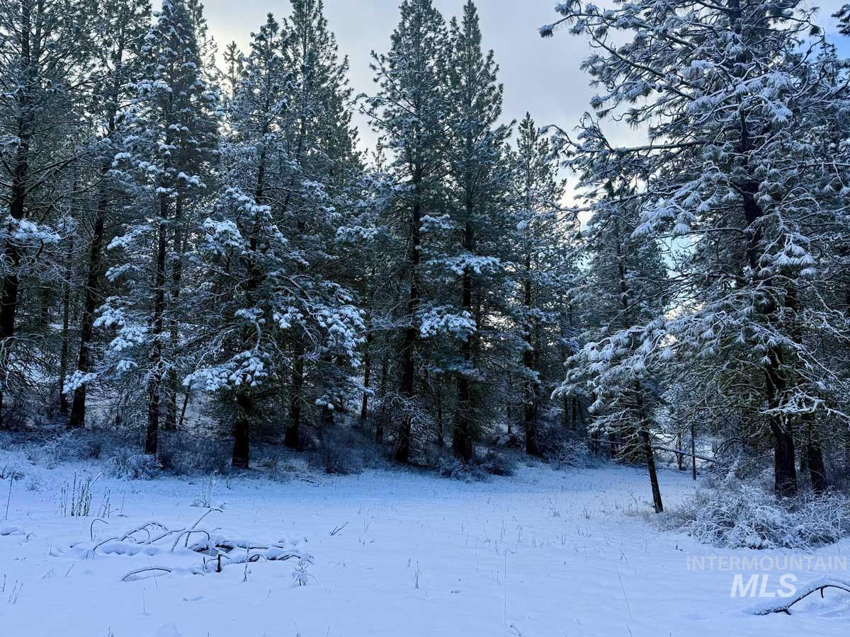 1222 Crown Point Parkway, Cascade, Idaho 83611-9999, 3 Bedrooms, 3 Bathrooms, Residential For Sale, Price $771,000,MLS 98971278