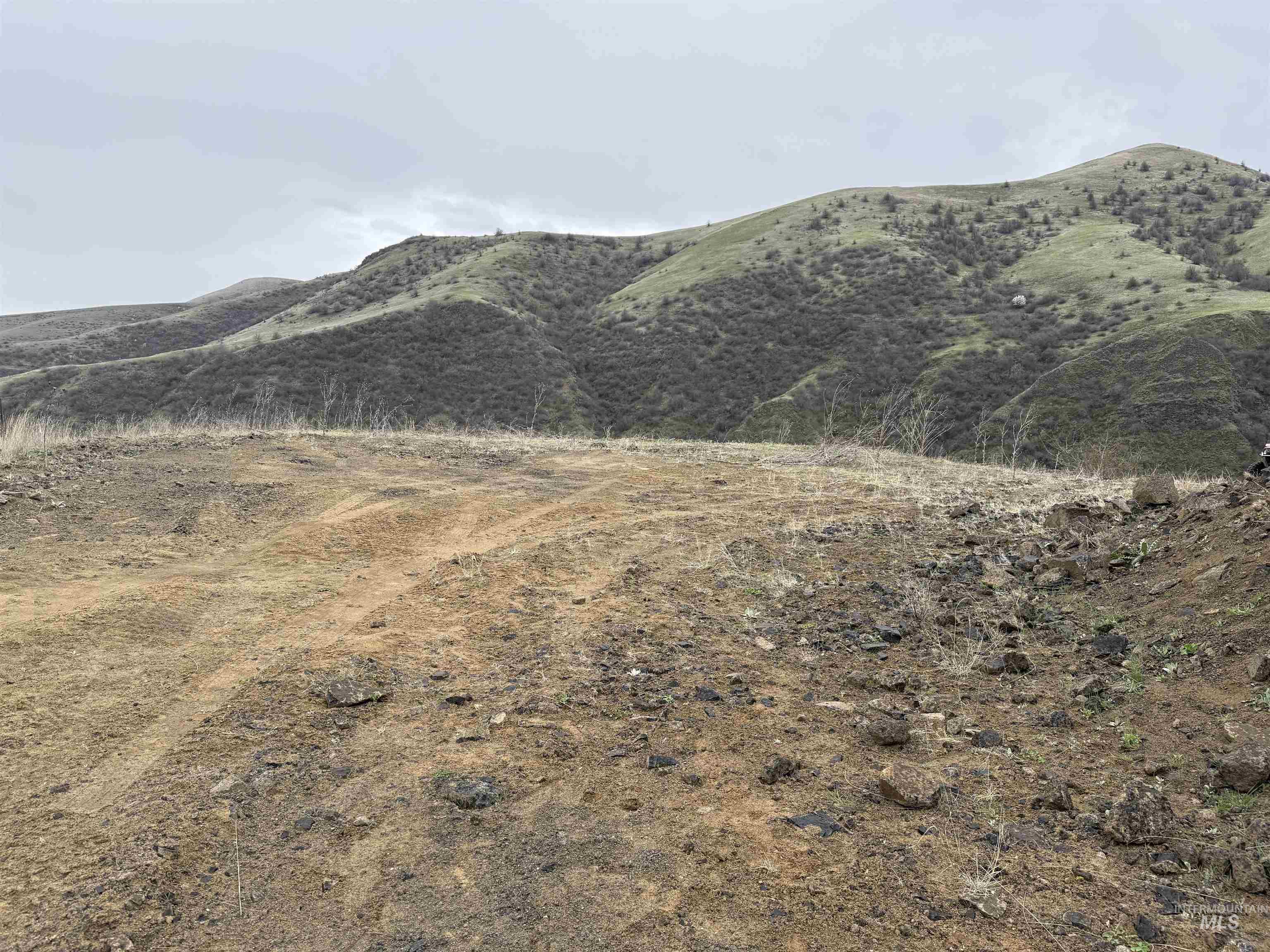 0 White BIrd, White Bird, Idaho 83554, Land For Sale, Price $175,000,MLS 98971290