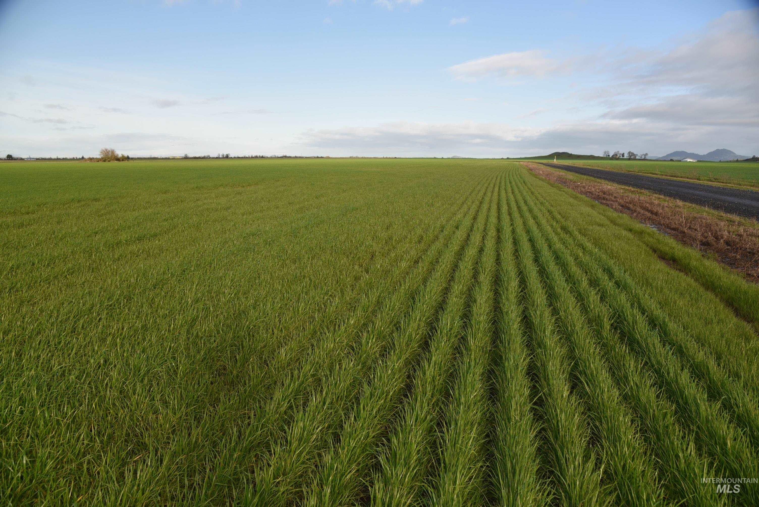 0 Bond Butte Dr, Outside City Limits, Idaho 97446, Farm & Ranch For Sale, Price $1,400,000,MLS 98971306