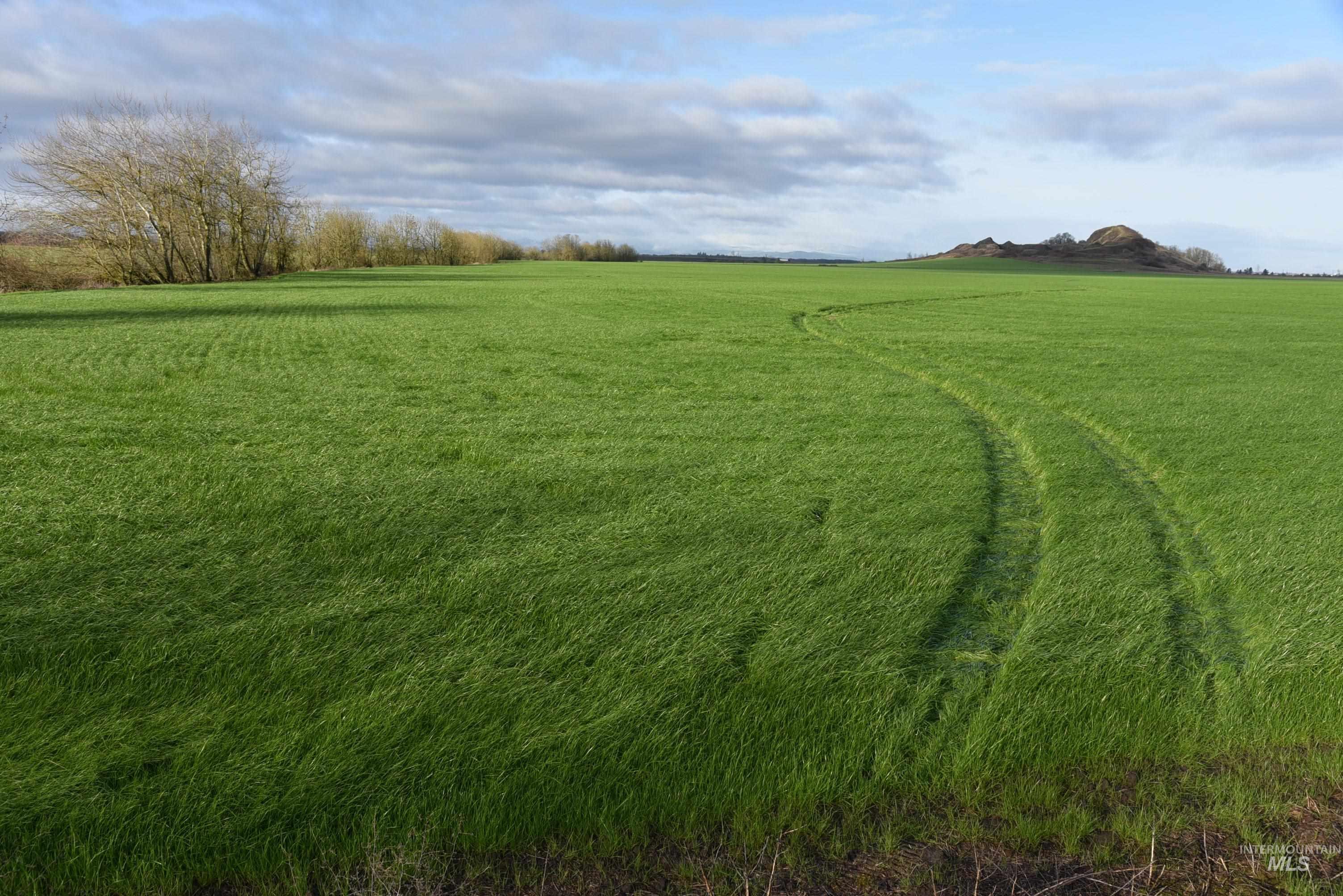 0 Bond Butte Dr, Outside City Limits, Idaho 97446, Farm & Ranch For Sale, Price $1,400,000,MLS 98971306