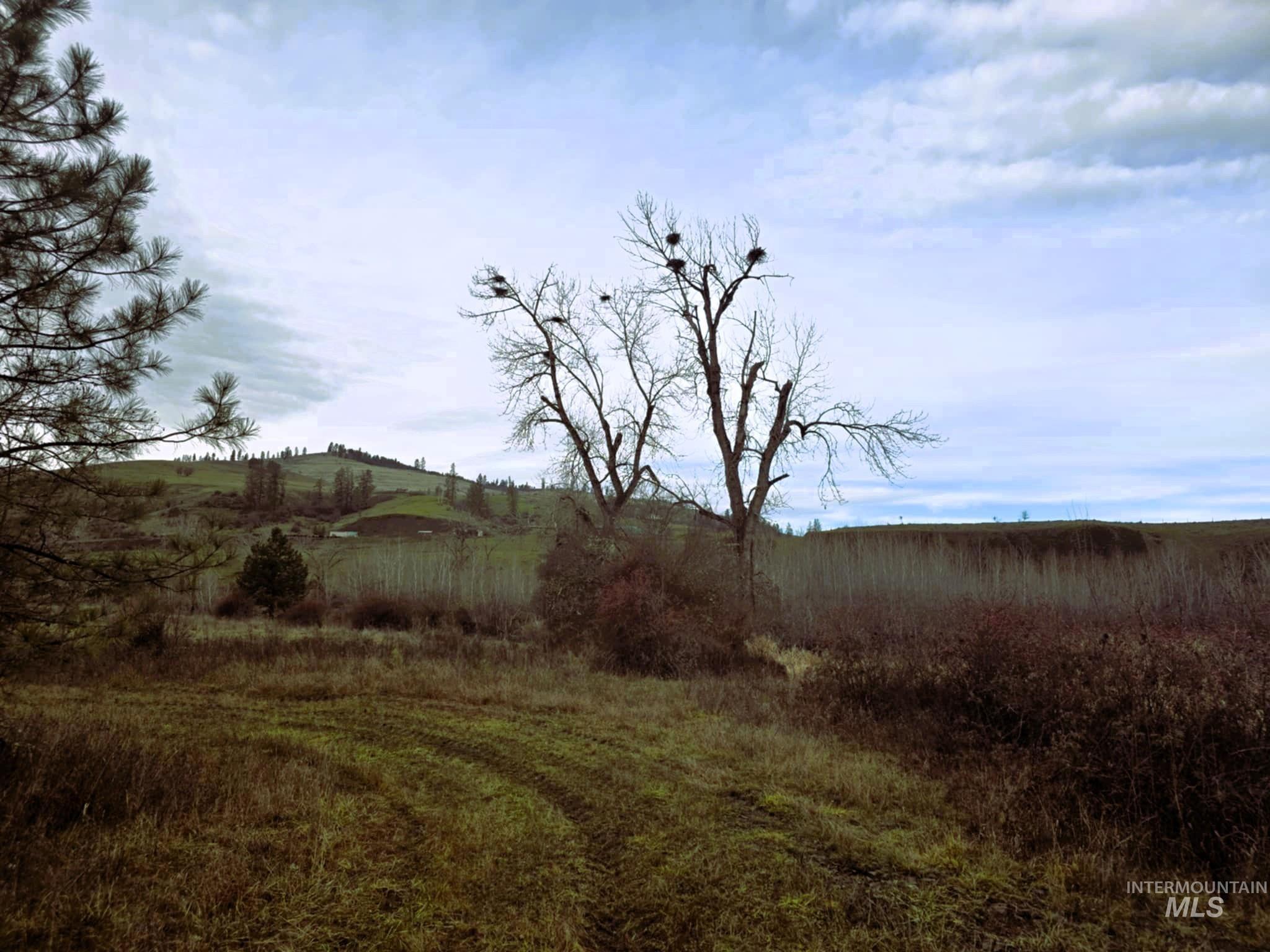 3841 Highway 13, Stites, Idaho 83552, Land For Sale, Price $850,000,MLS 98971343