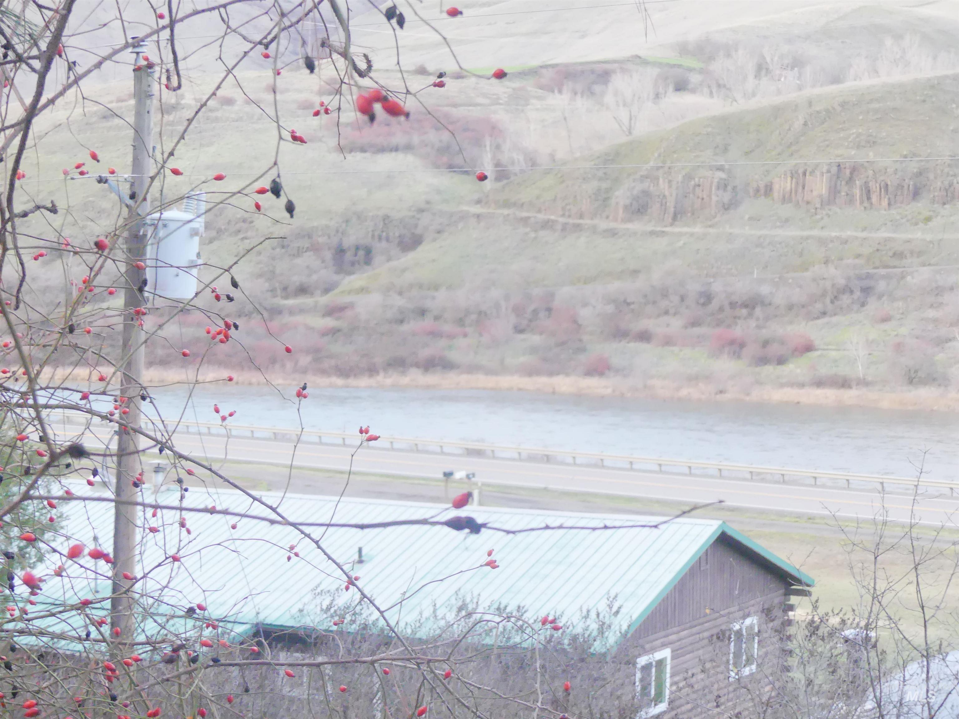 31388 Paradise Lane, Lenore, Idaho 83541, 3 Bedrooms, 1 Bathroom, Residential For Sale, Price $300,000,MLS 98971354