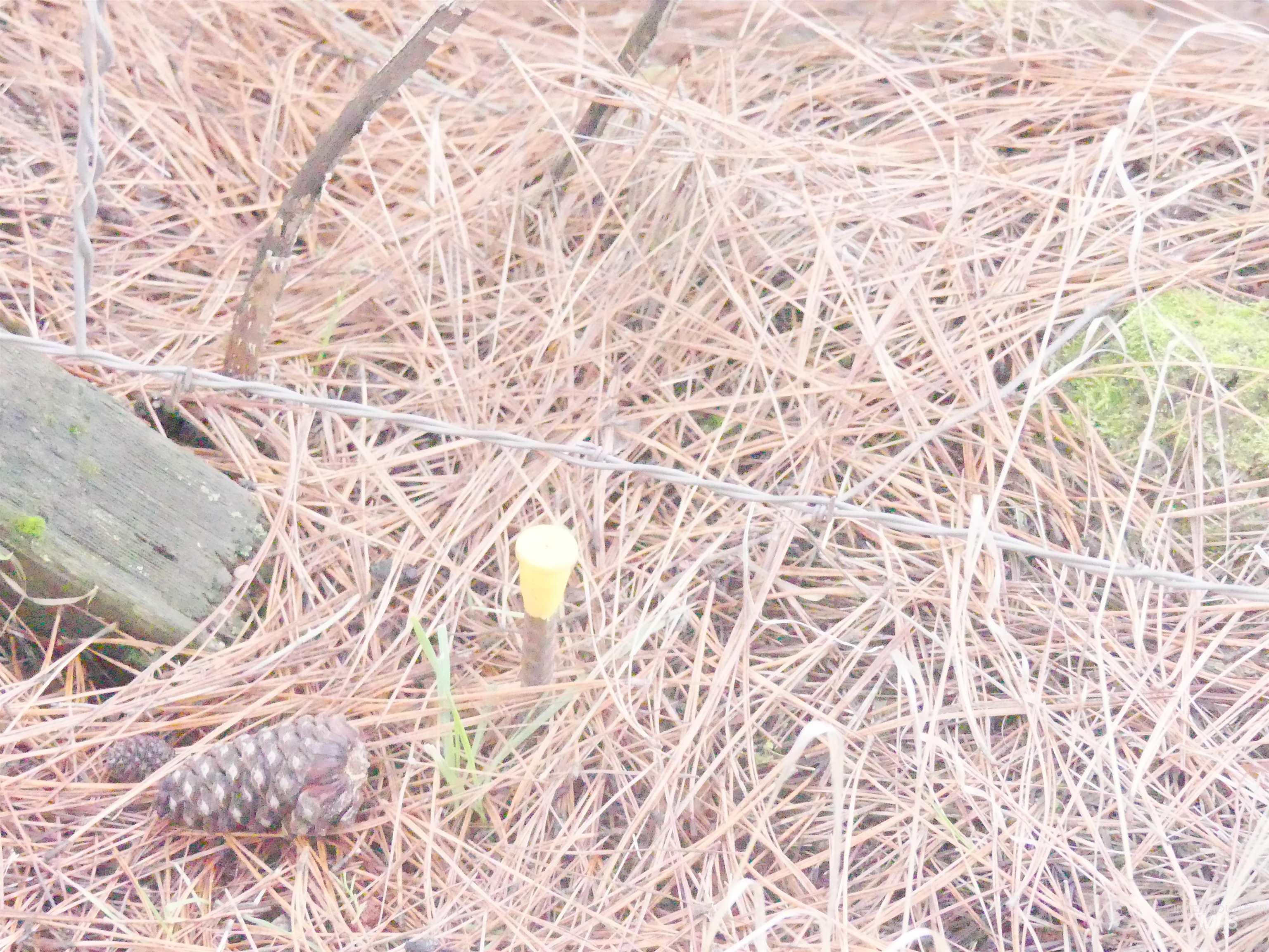 31388 Paradise Lane, Lenore, Idaho 83541, 3 Bedrooms, 1 Bathroom, Residential For Sale, Price $300,000,MLS 98971354