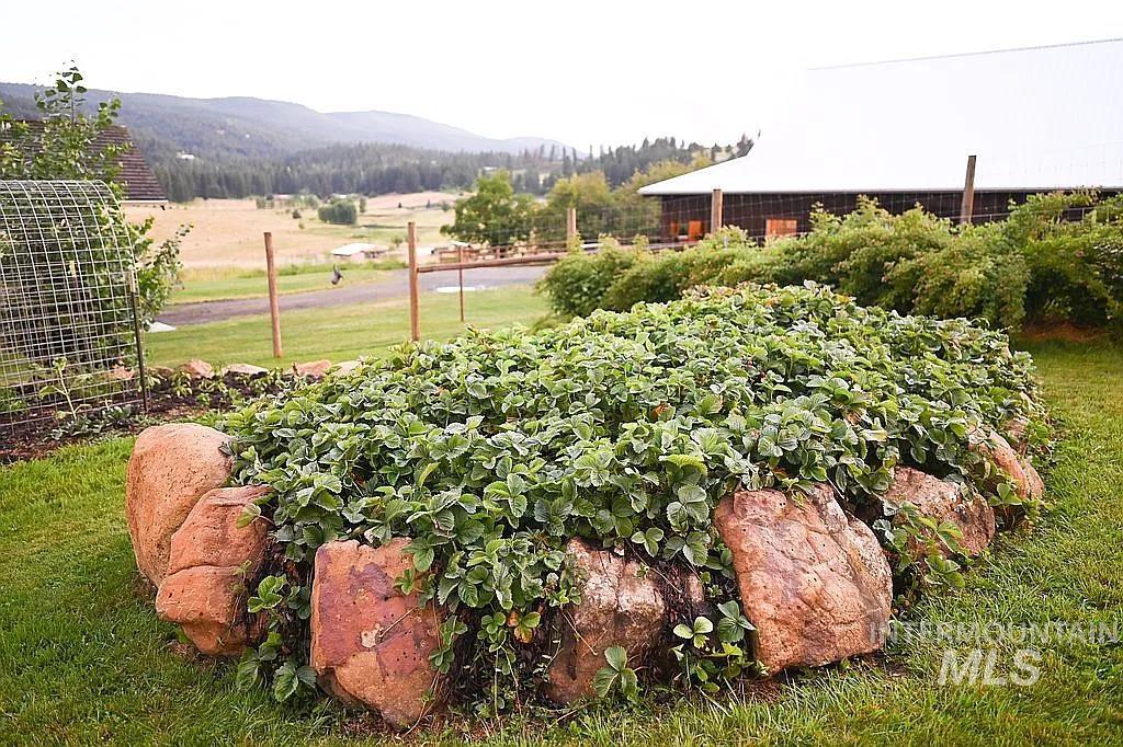 124 Mill Creek Mdw, Grangeville, Idaho 83530, 5 Bedrooms, 3 Bathrooms, Residential For Sale, Price $867,000,MLS 98971383