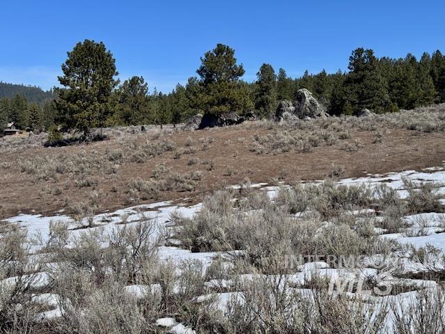 72 acres High Valley Rd, High Valley, Idaho 83611, Land For Sale, Price $520,000,MLS 98971434