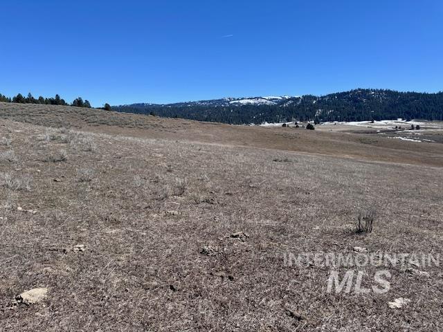72 acres High Valley Rd, High Valley, Idaho 83611, Land For Sale, Price $520,000,MLS 98971434