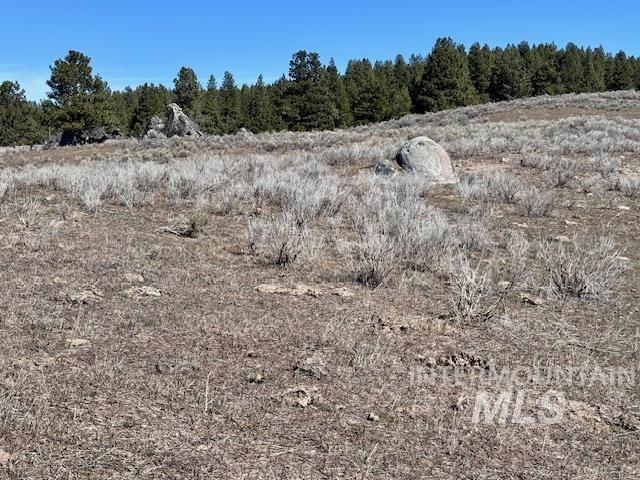 72 acres High Valley Rd, High Valley, Idaho 83611, Land For Sale, Price $520,000,MLS 98971434