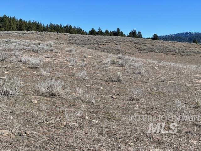72 acres High Valley Rd, High Valley, Idaho 83611, Land For Sale, Price $520,000,MLS 98971434